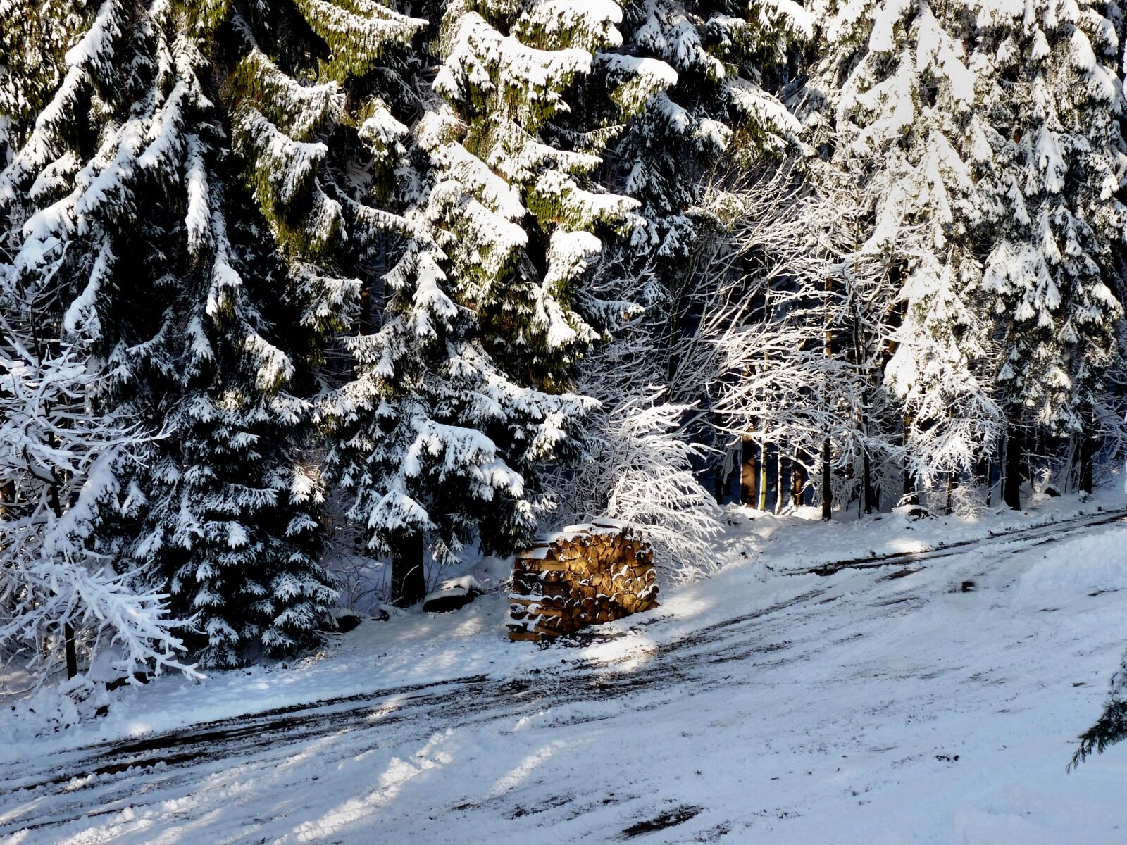 Panasonic Lumix DMC-FZ28 sample photo. Holzstabel, winter, snow photography