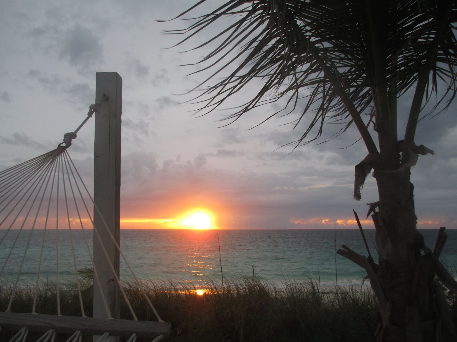 Canon PowerShot A4000 IS sample photo. Bahamas, palm, hammock photography