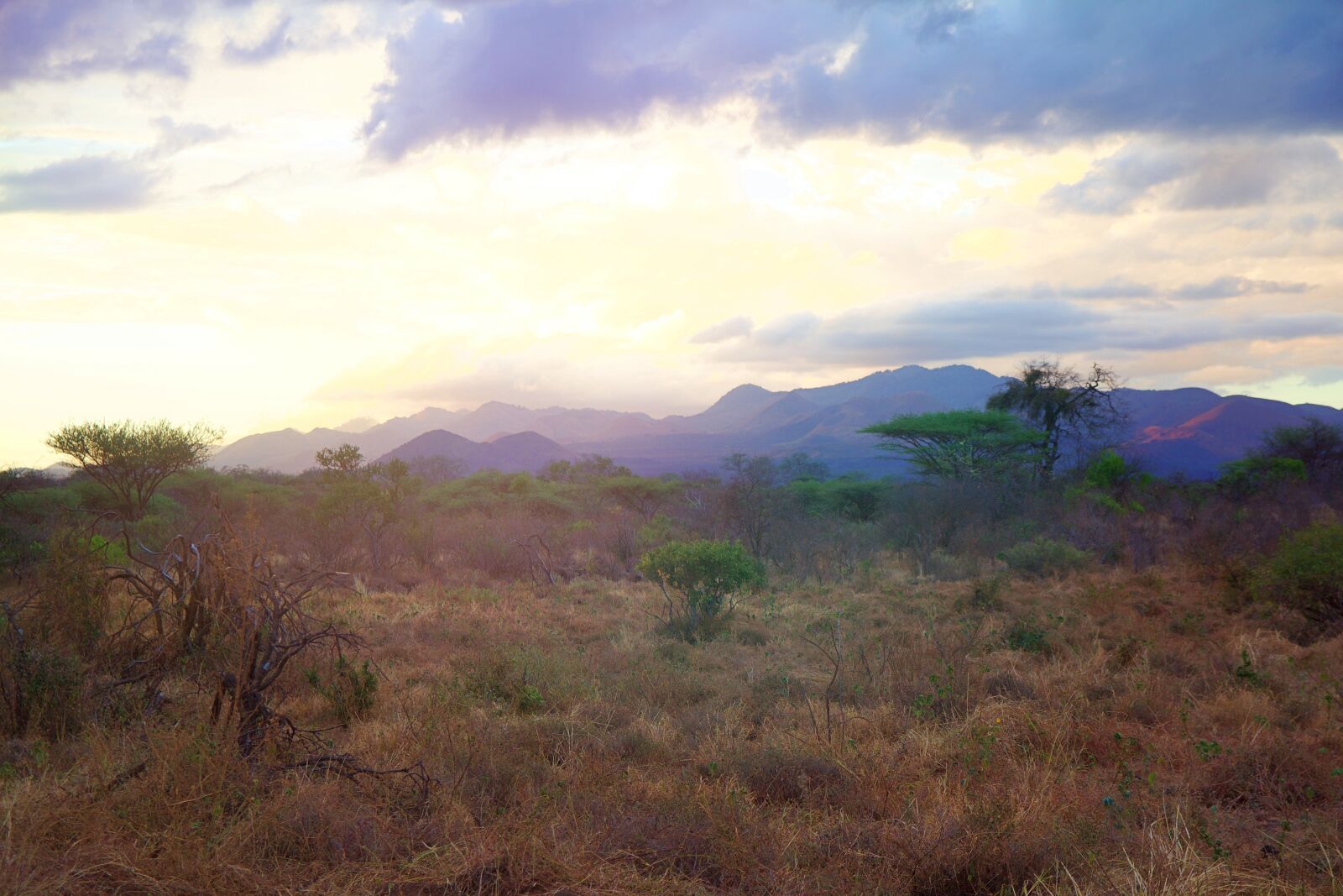 Canon EOS 600D (Rebel EOS T3i / EOS Kiss X5) sample photo. Africa, tsavo, kenya photography