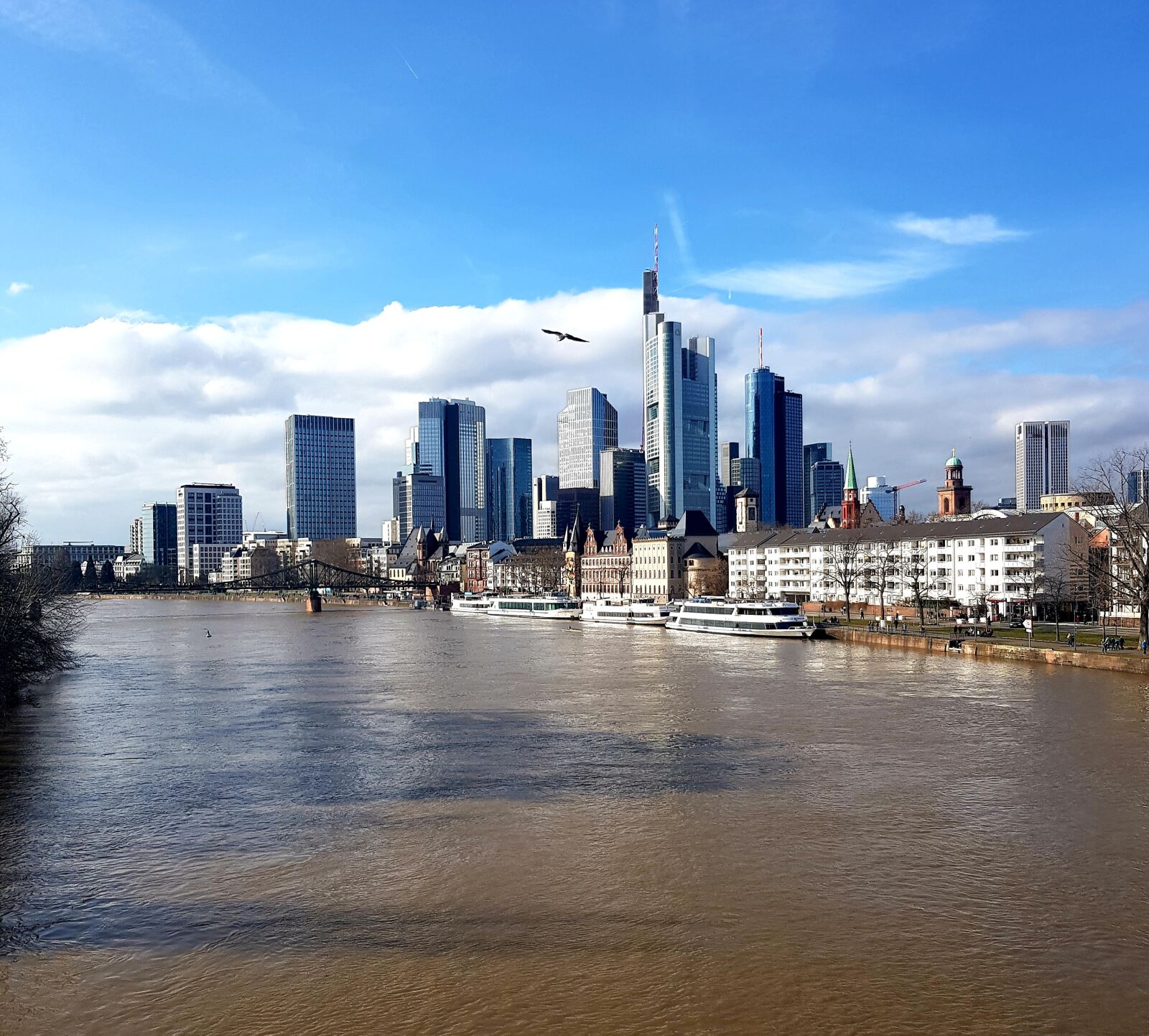Samsung SM-N950F sample photo. Frankfurt a, m, panorama photography