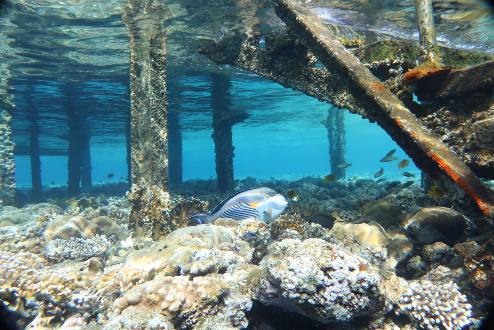 Canon EOS 750D (EOS Rebel T6i / EOS Kiss X8i) sample photo. Water, nature, ocean photography
