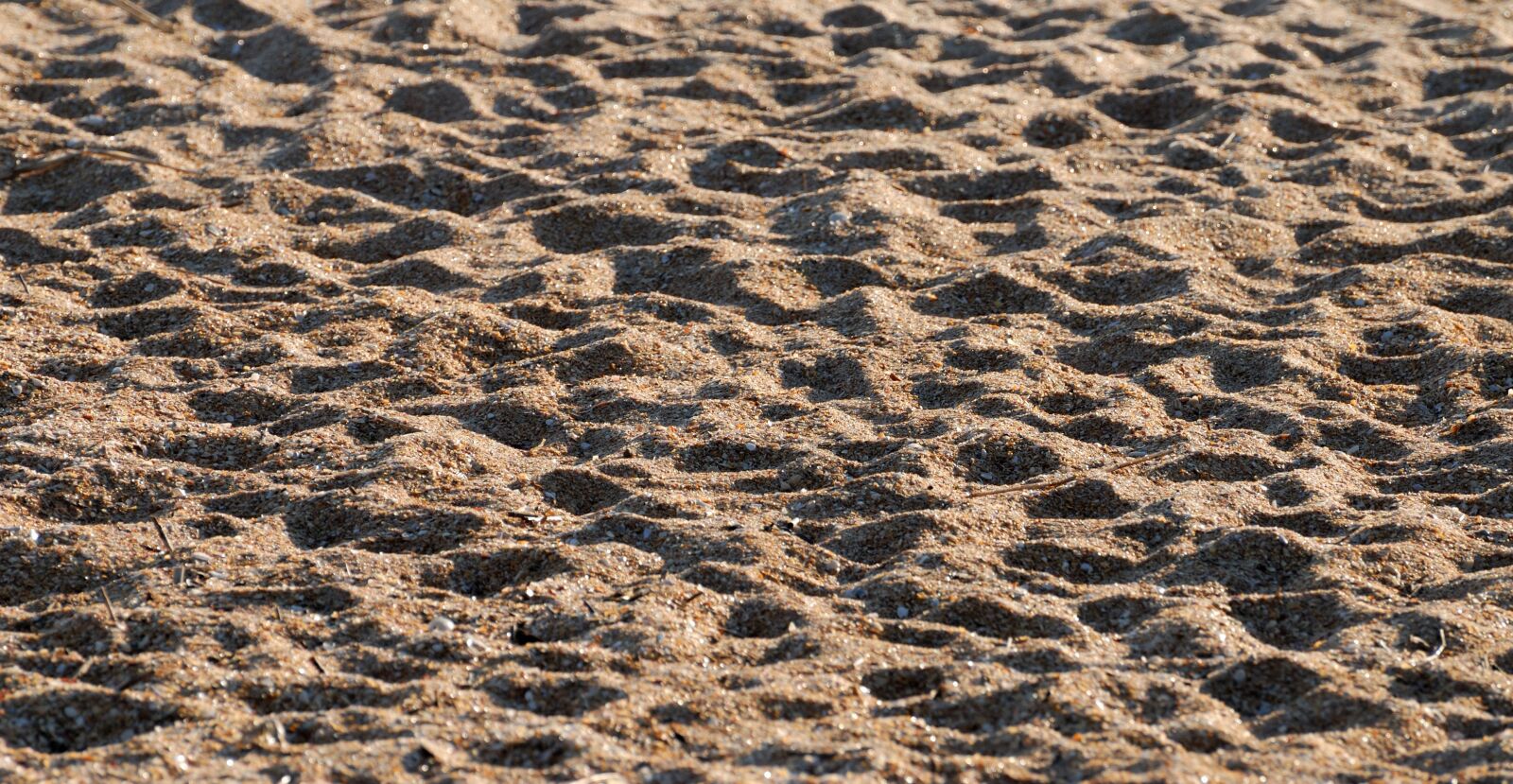 Nikon D200 sample photo. Beach sand, background, outdoors photography