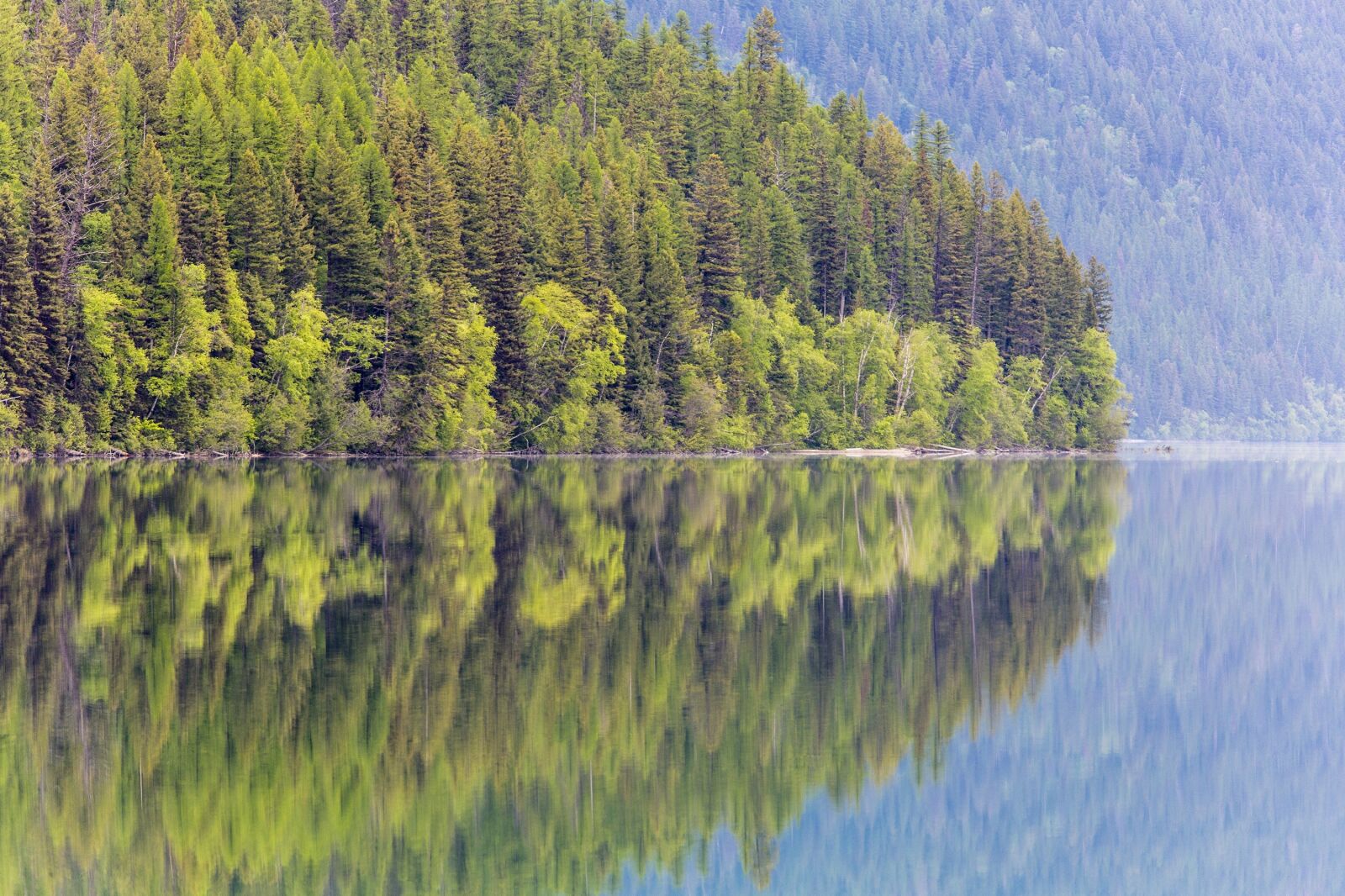 Canon EOS 5D Mark III sample photo. Bowman lake, reflection, trees photography