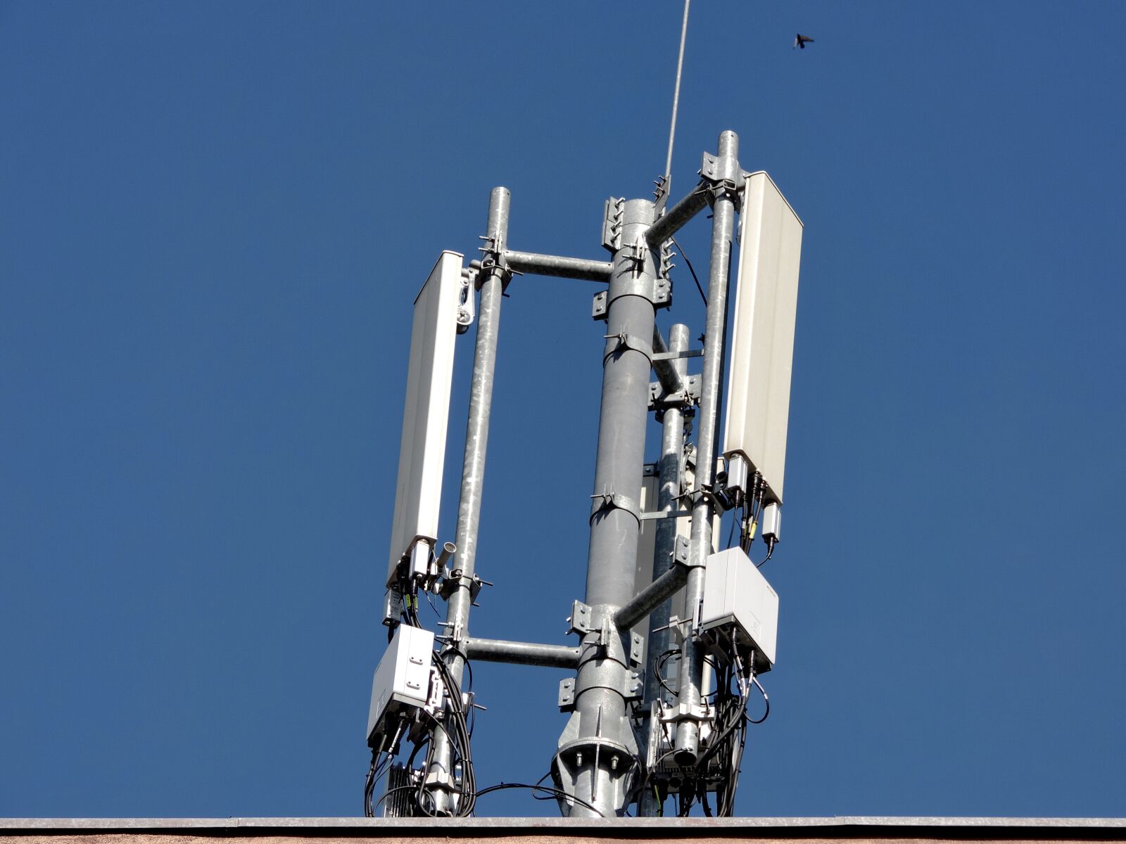 Nikon Coolpix P520 sample photo. Radio antenna, telecommunication, telemetry photography