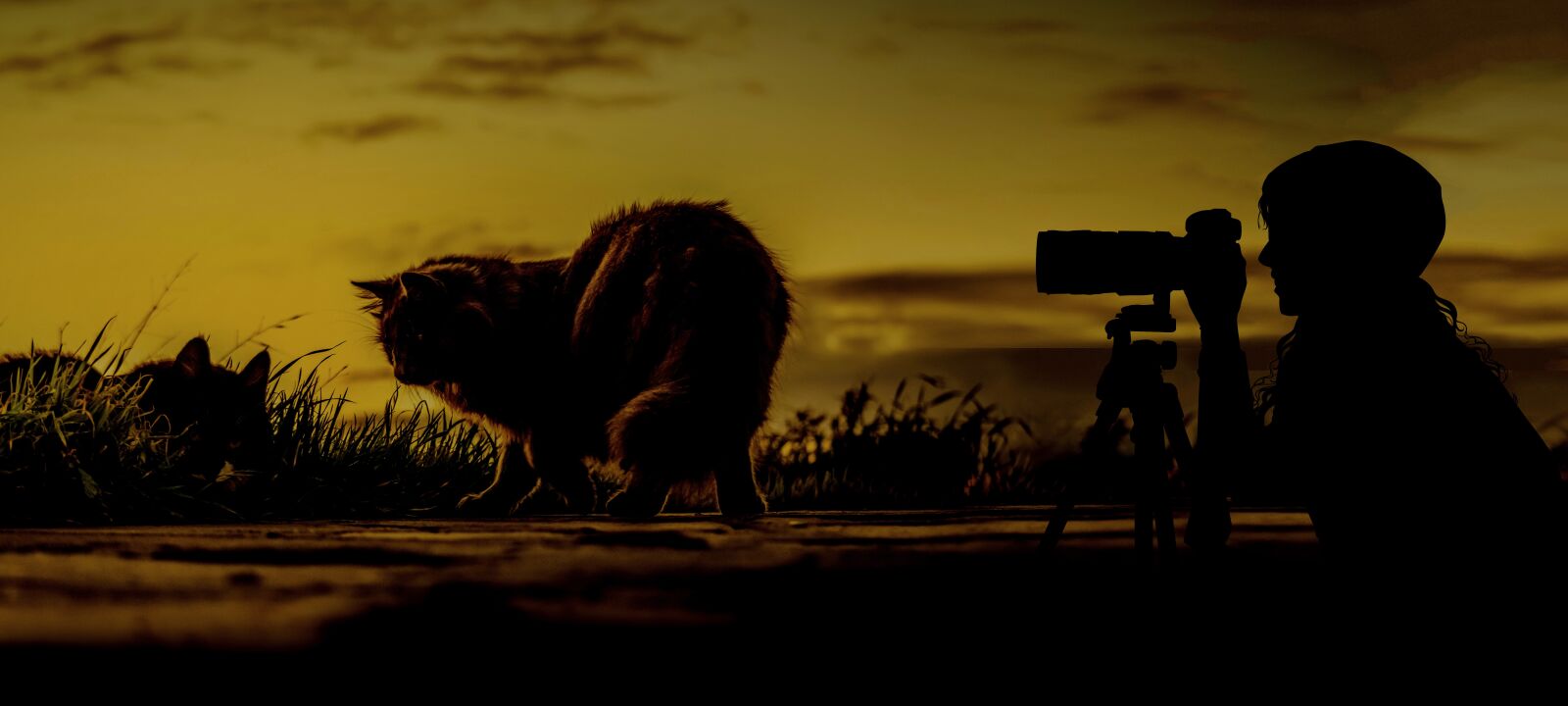 Nikon D3300 sample photo. Sunset, dawn, panoramic photography