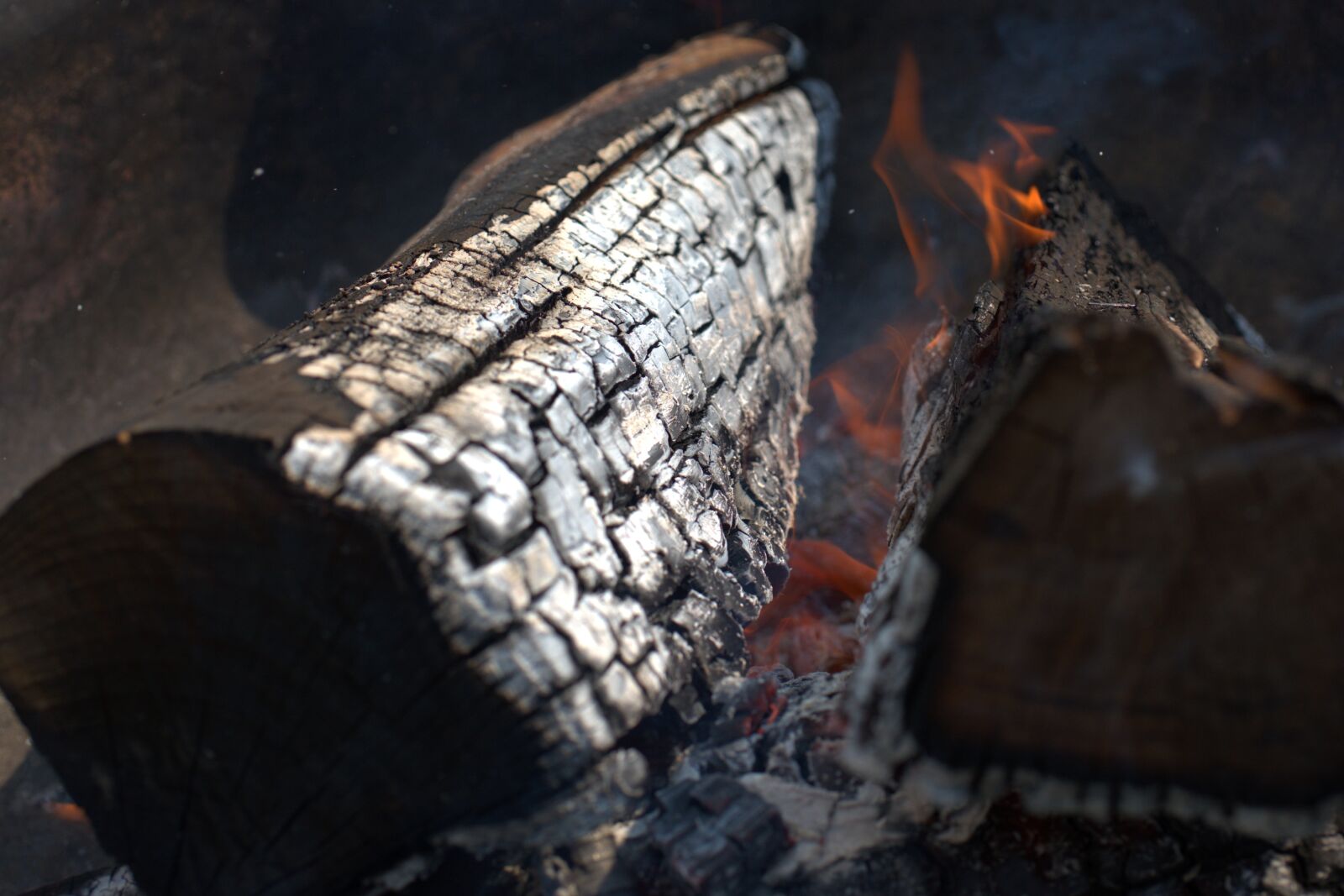 Sony FE 50mm F2.8 Macro sample photo. Fire, embers, campfire photography