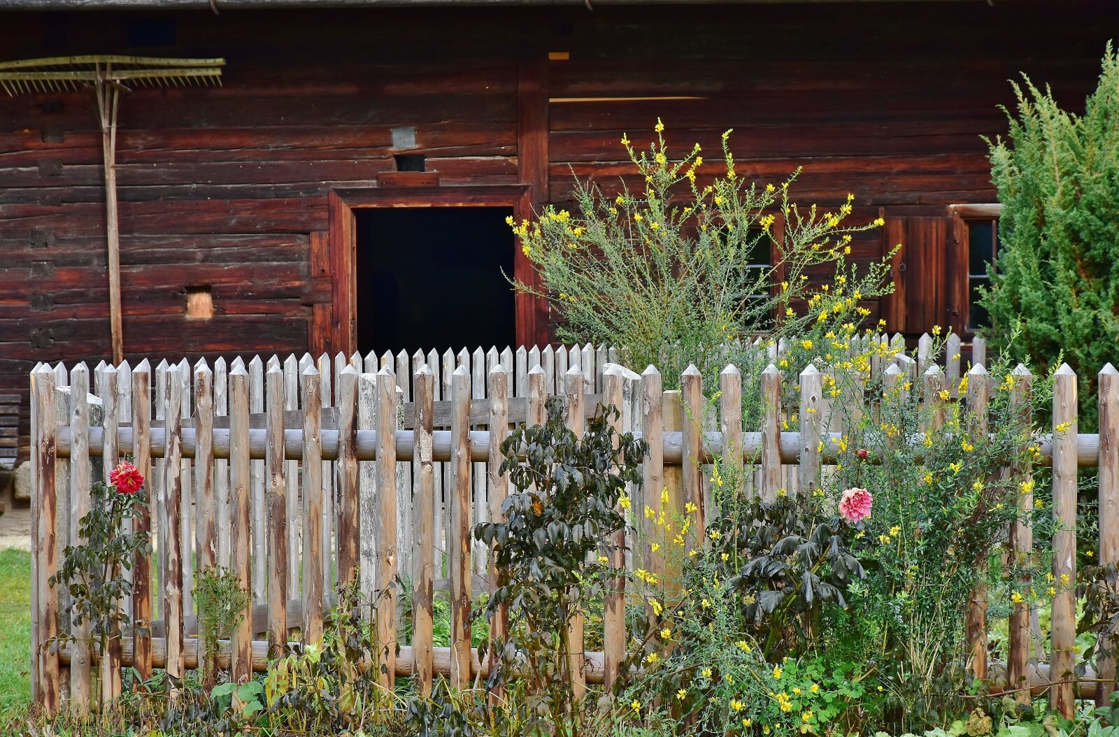 Nikon D7200 sample photo. Cottage garden, garden, fence photography