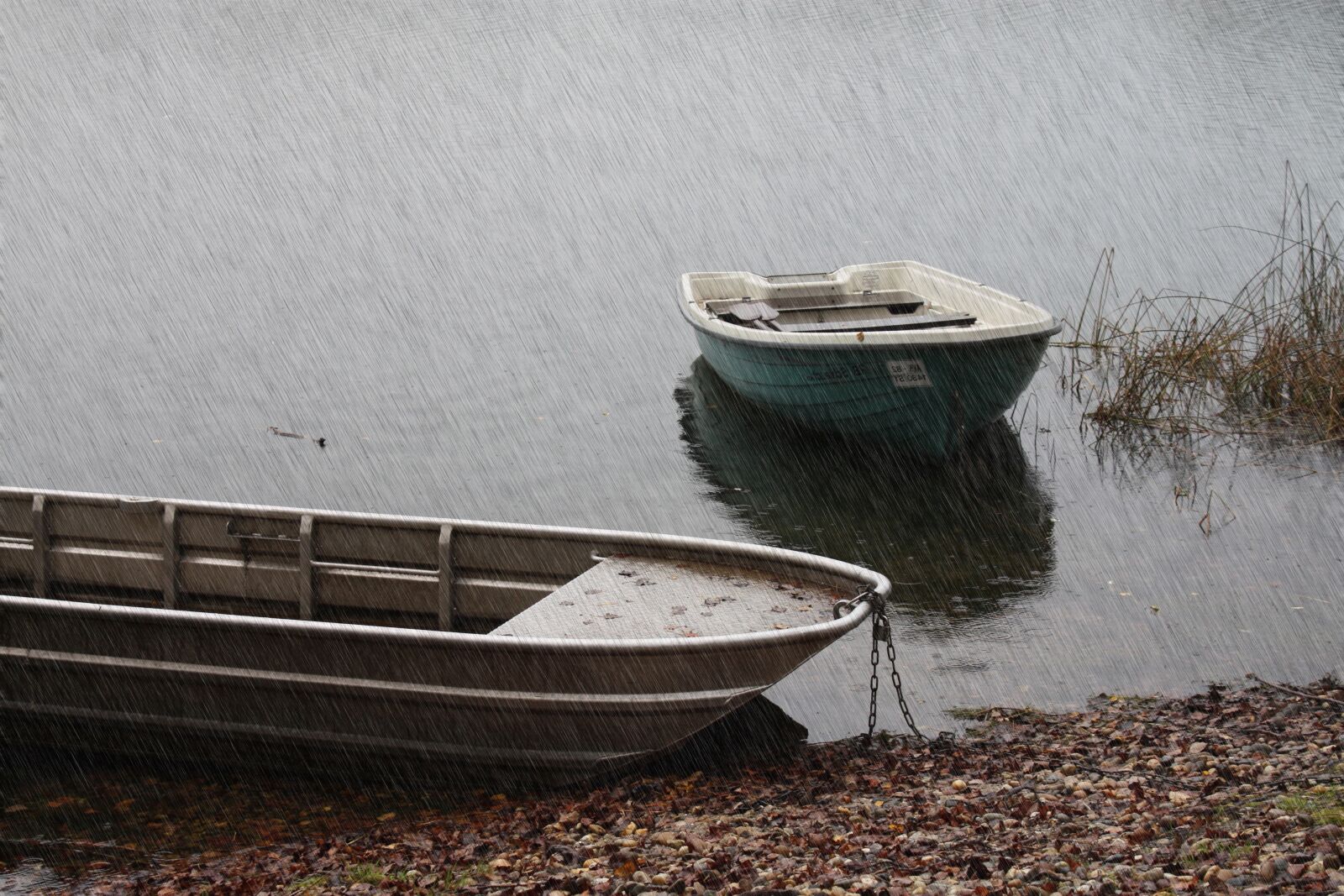 Canon EOS 450D (EOS Rebel XSi / EOS Kiss X2) sample photo. Rain, pond, boats photography