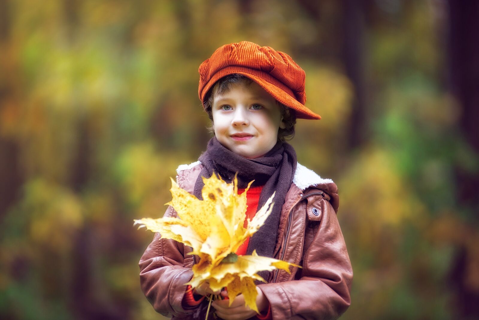 Nikon D610 sample photo. Park, autumn, autumn park photography