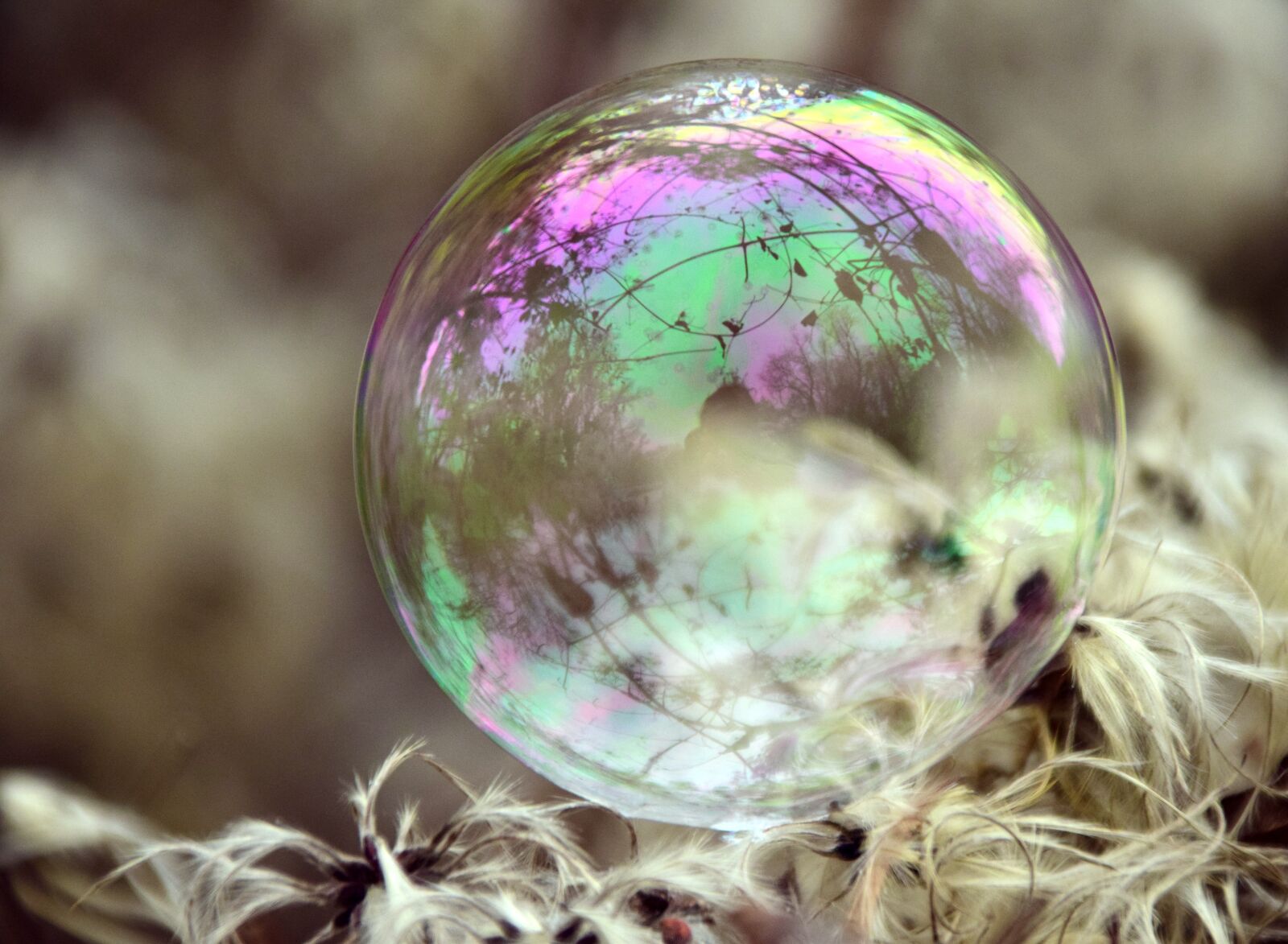 Nikon D3300 sample photo. Bubble, soap bubble, iridescent photography