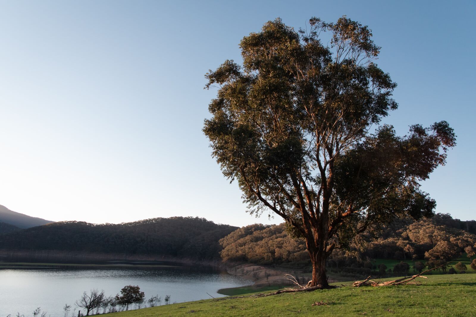 Nikon D750 sample photo. Lake, water, tree photography