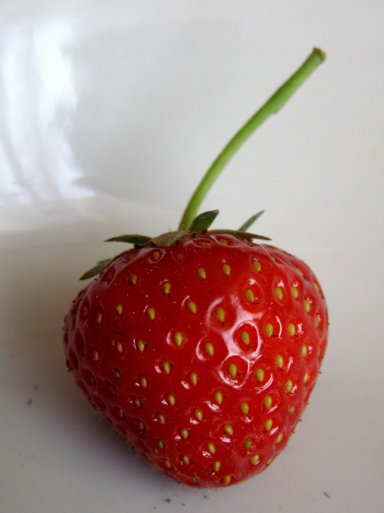 Olympus SP500UZ sample photo. Strawberry, fruit, summer photography