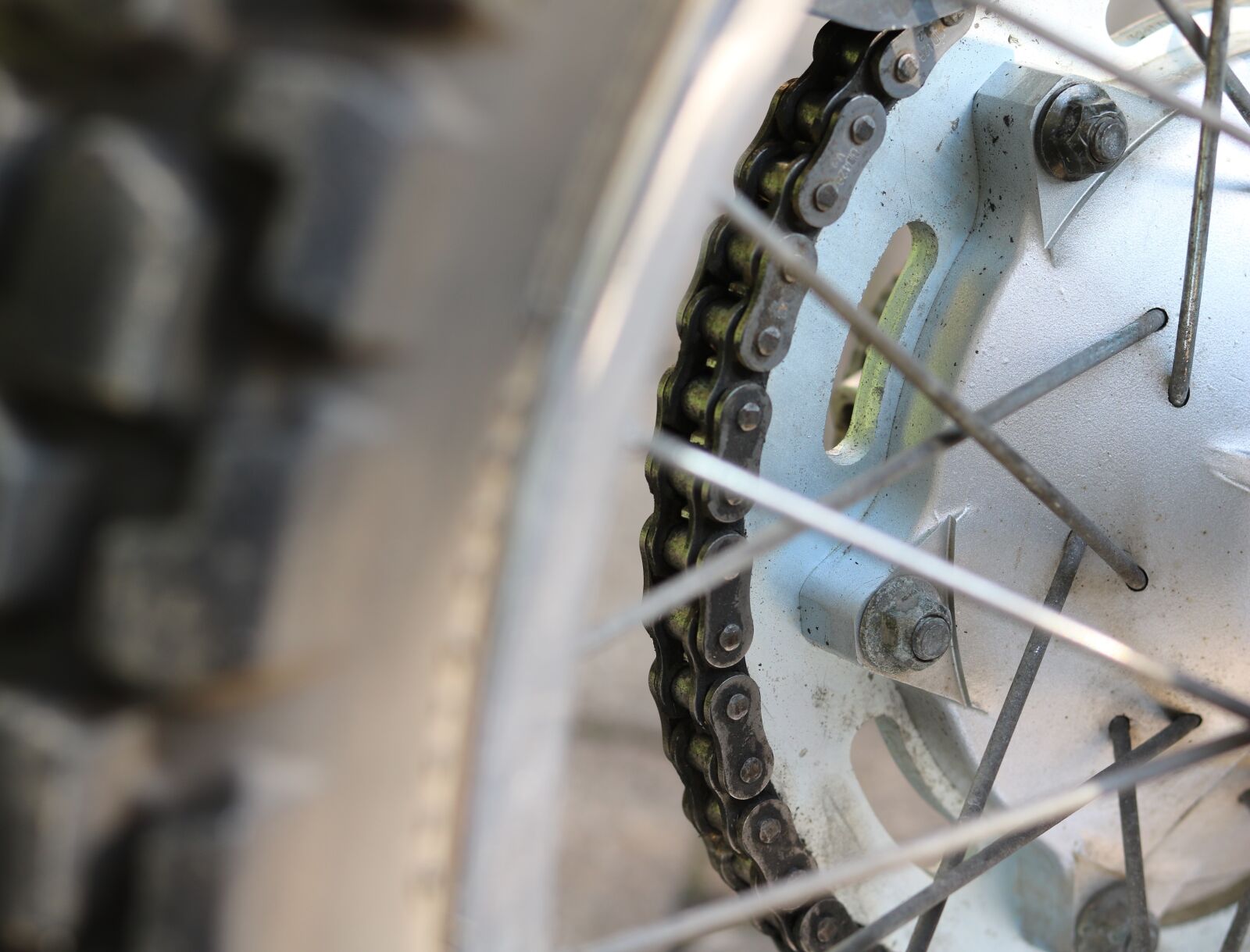 Canon EOS 750D (EOS Rebel T6i / EOS Kiss X8i) sample photo. Spokes, motorcycle, two wheeled photography
