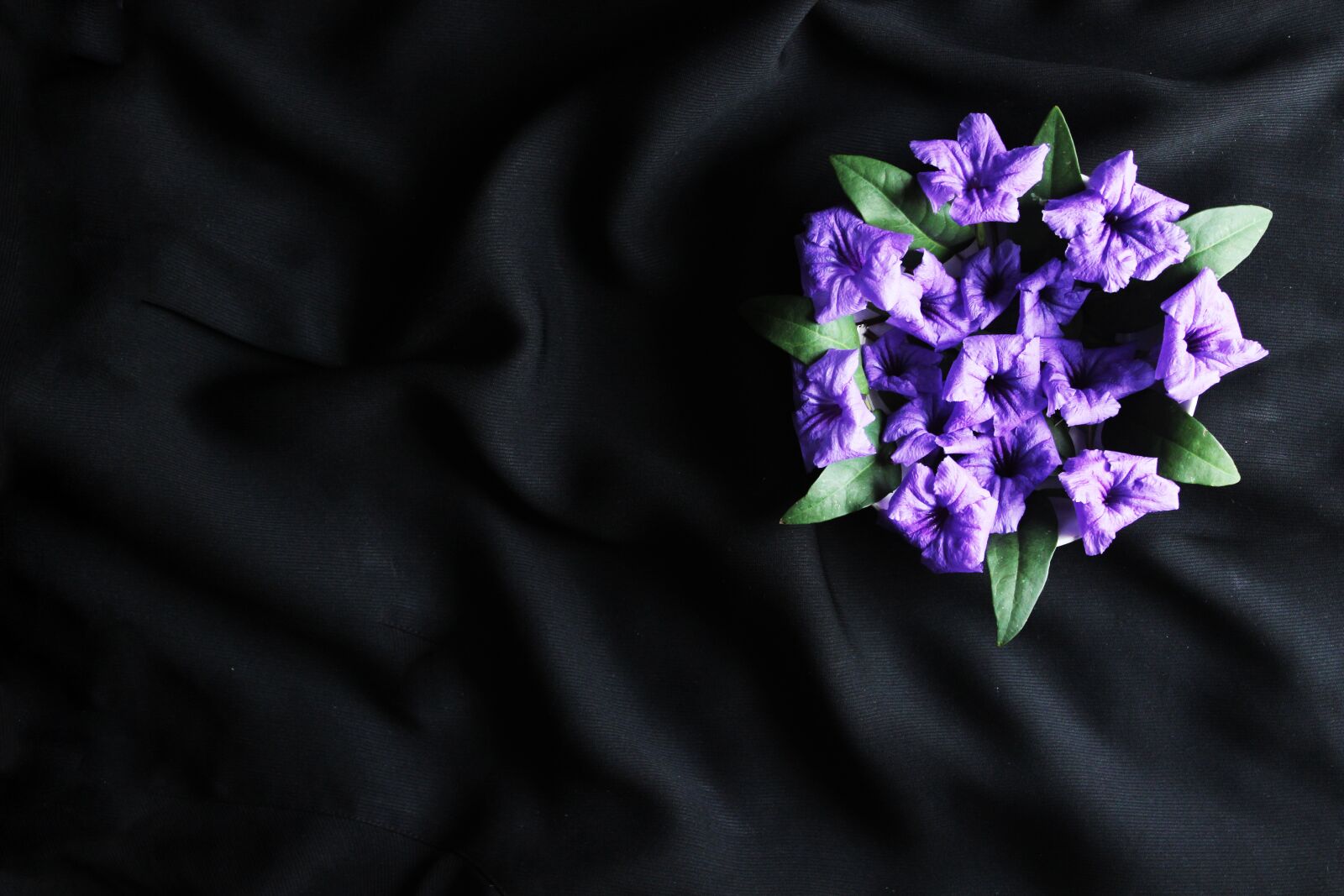 Canon EOS 600D (Rebel EOS T3i / EOS Kiss X5) sample photo. Flowers, purple, bloom photography
