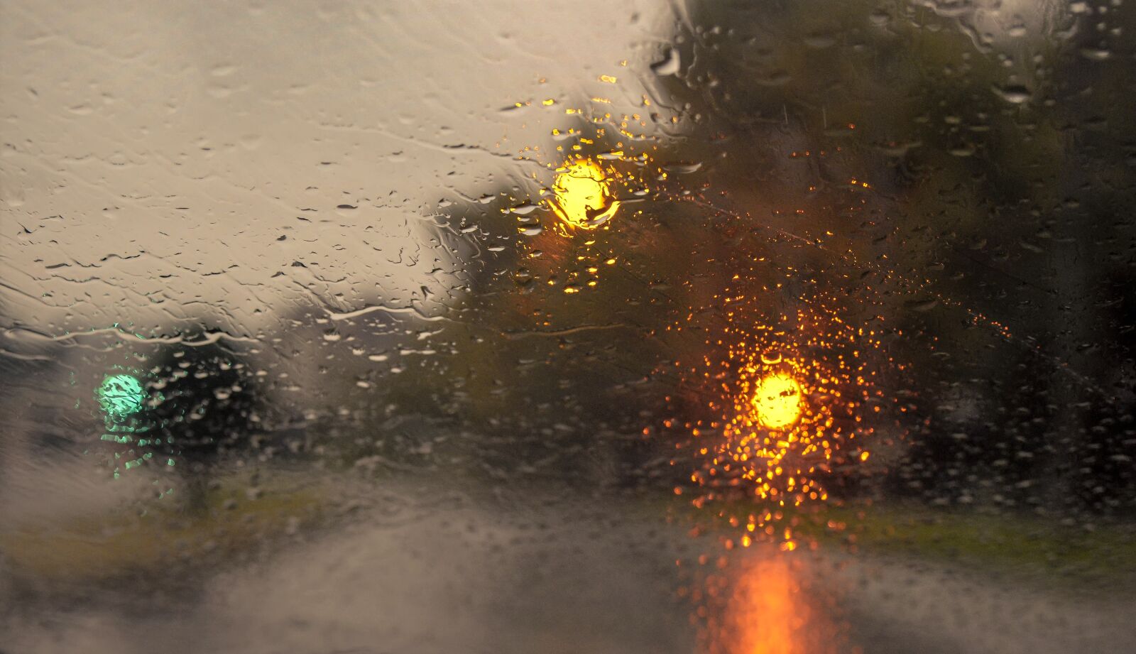 Nikon D7200 sample photo. Rain, lights, nature photography