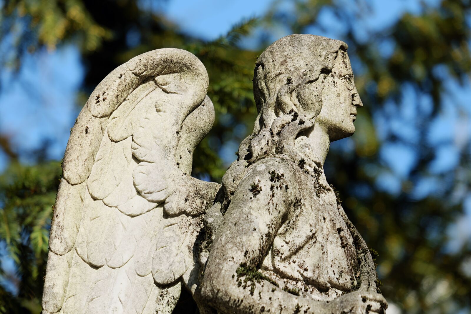 Fujifilm XF 55-200mm F3.5-4.8 R LM OIS sample photo. Angel, figure, stone figure photography
