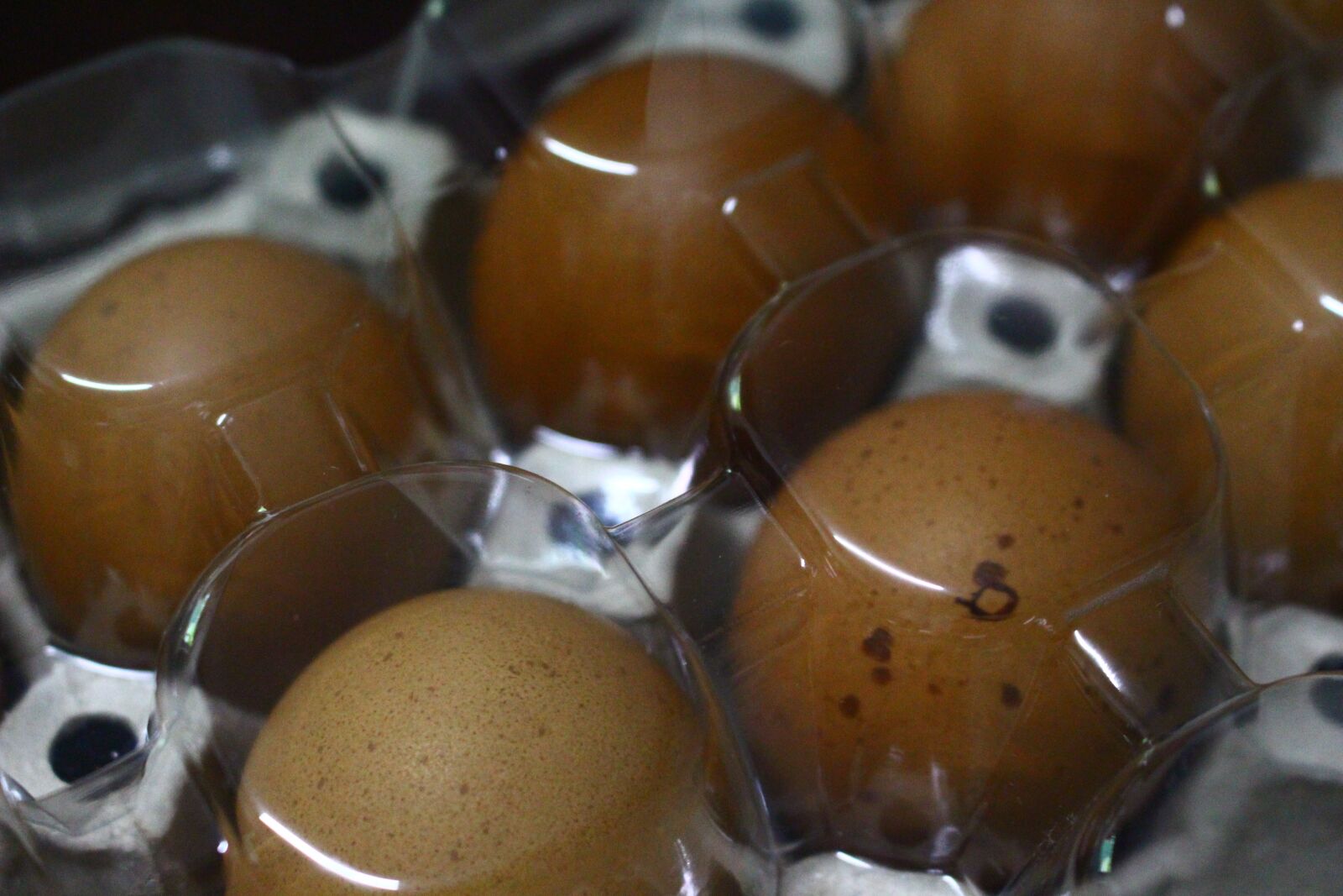Canon EOS 700D (EOS Rebel T5i / EOS Kiss X7i) sample photo. Egg, food, eggs photography