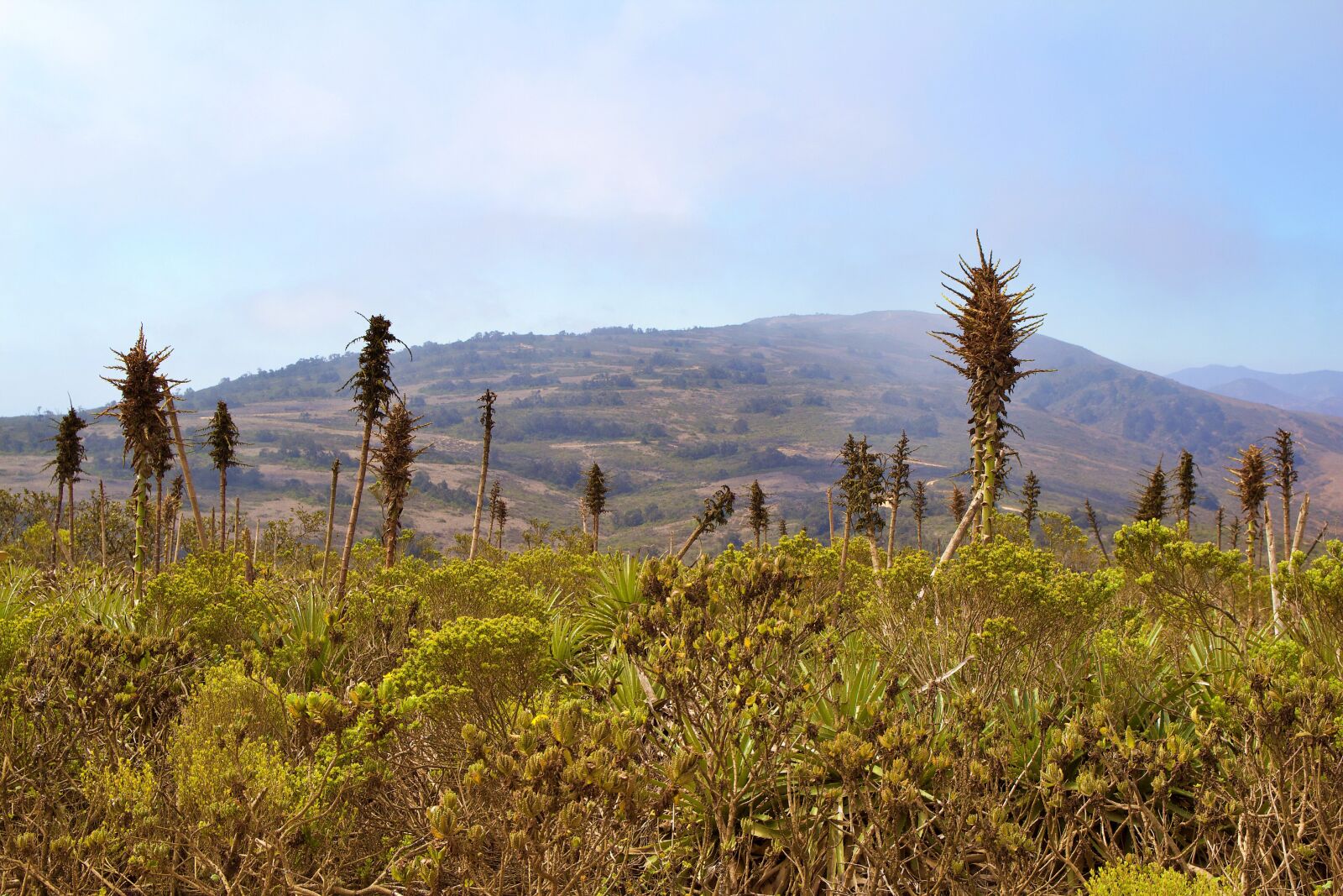 Canon EOS 600D (Rebel EOS T3i / EOS Kiss X5) sample photo. Chile, nature, landscape photography