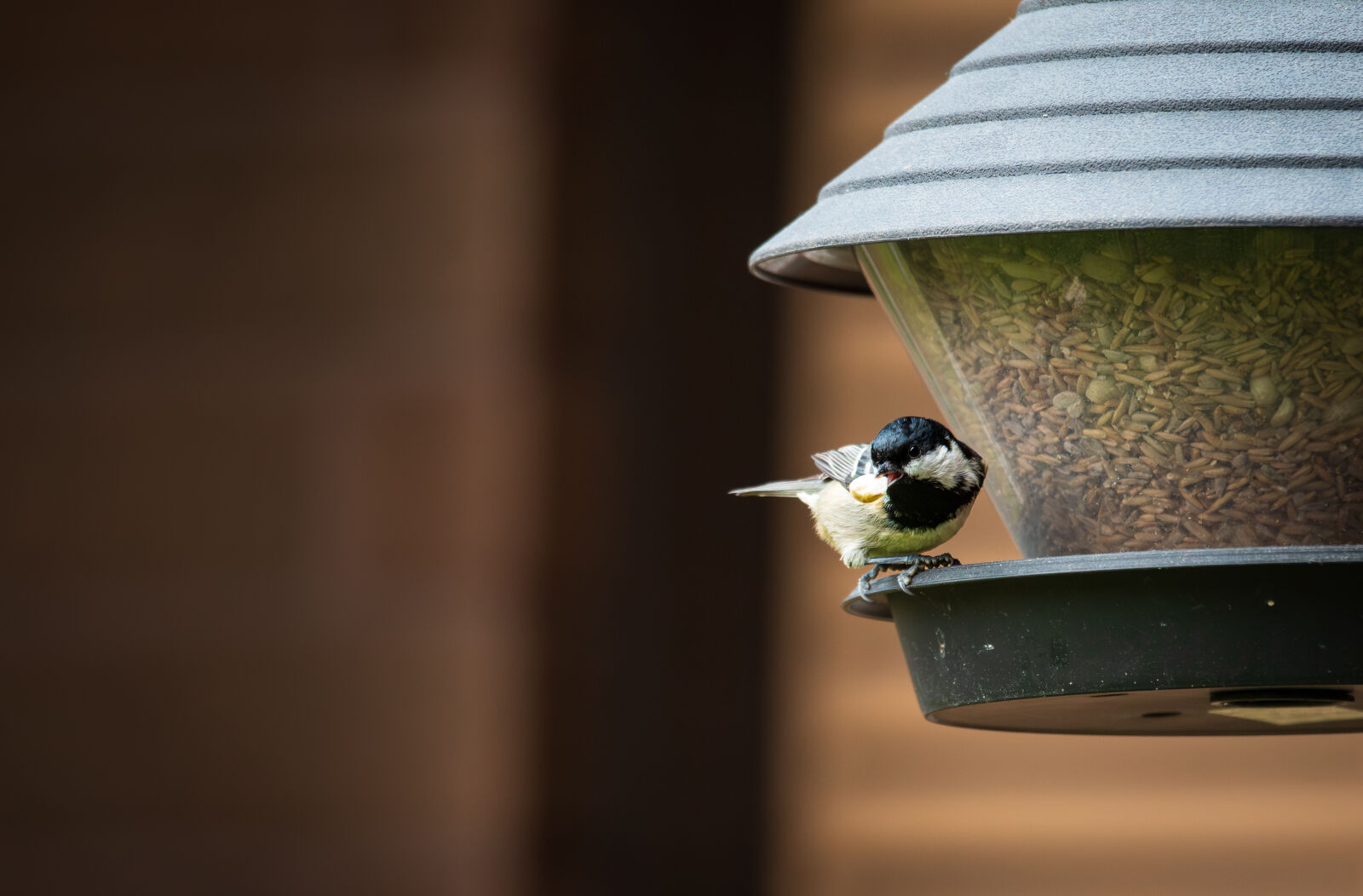 Nikon Z6 II sample photo