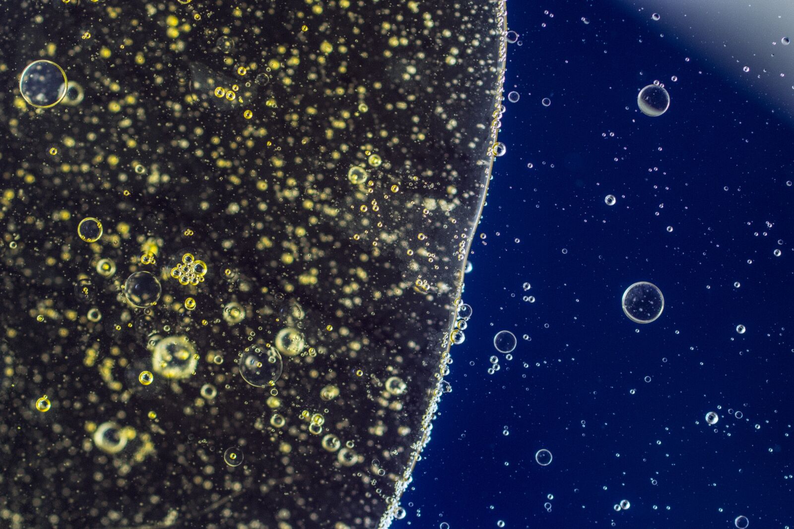 Canon EF 50mm F2.5 Macro sample photo. Oil in water, liquid photography