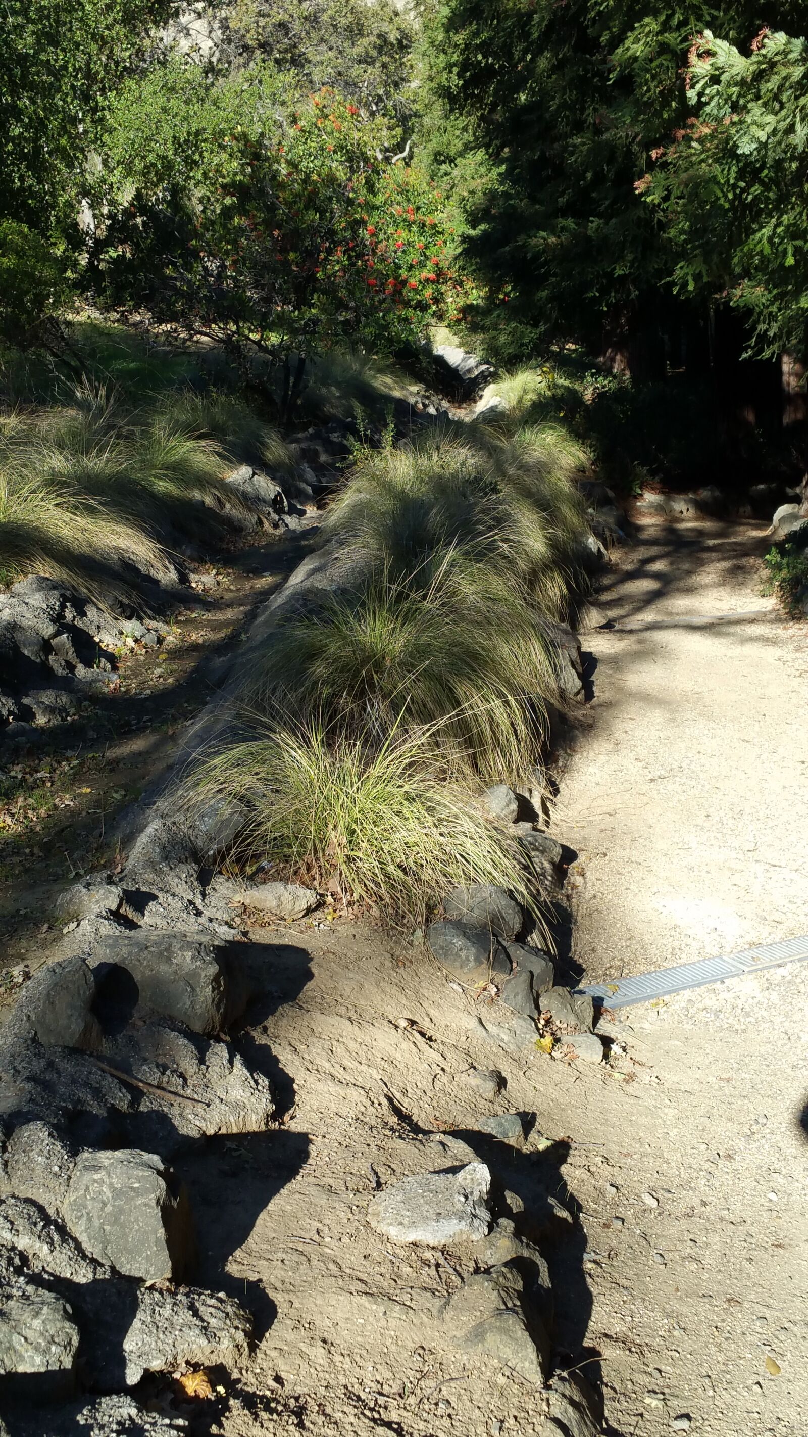 Samsung Galaxy Note4 sample photo. Fence, grass, path, trees photography