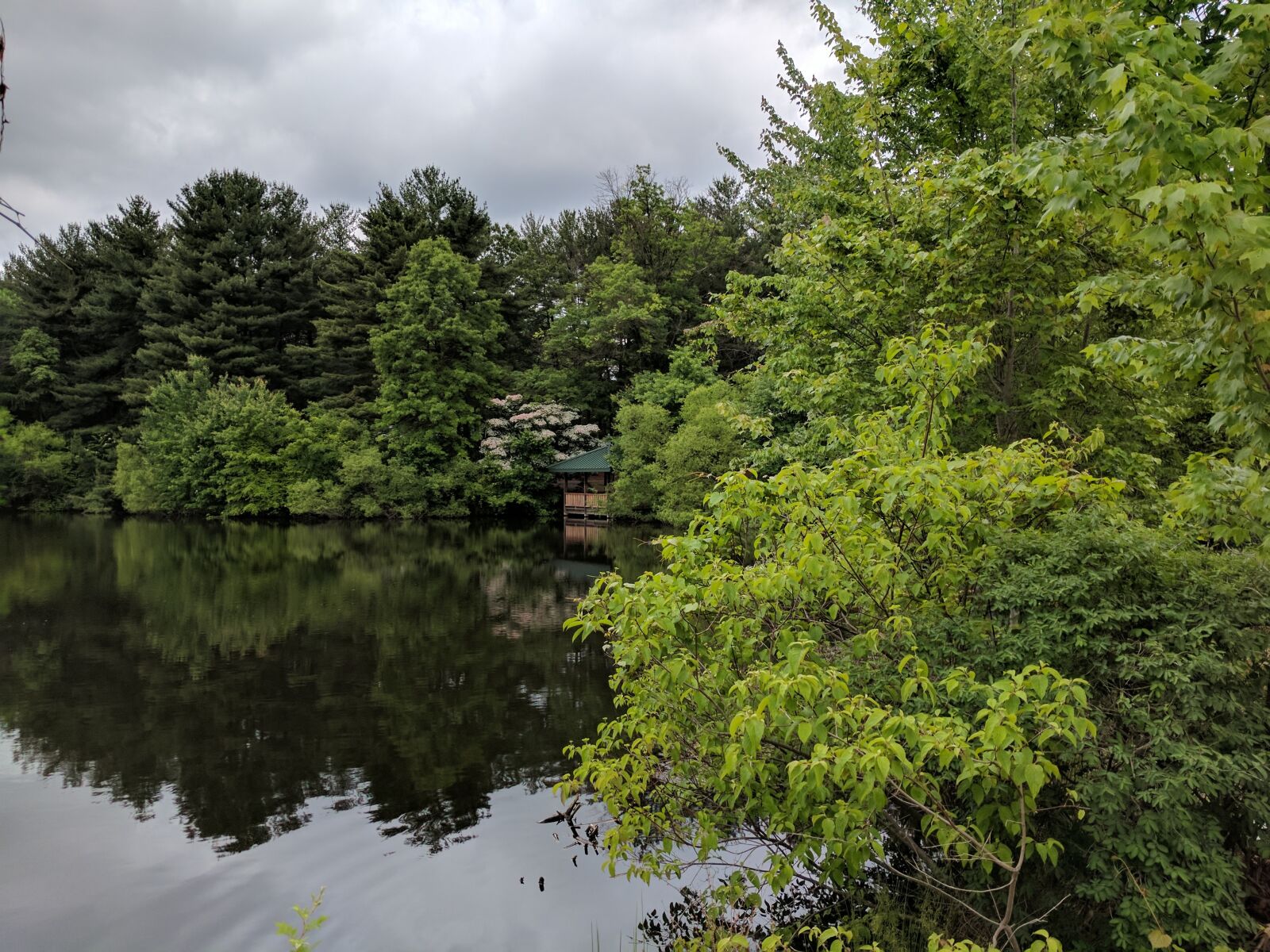 Google Pixel sample photo. Pond, trees, outdoors photography
