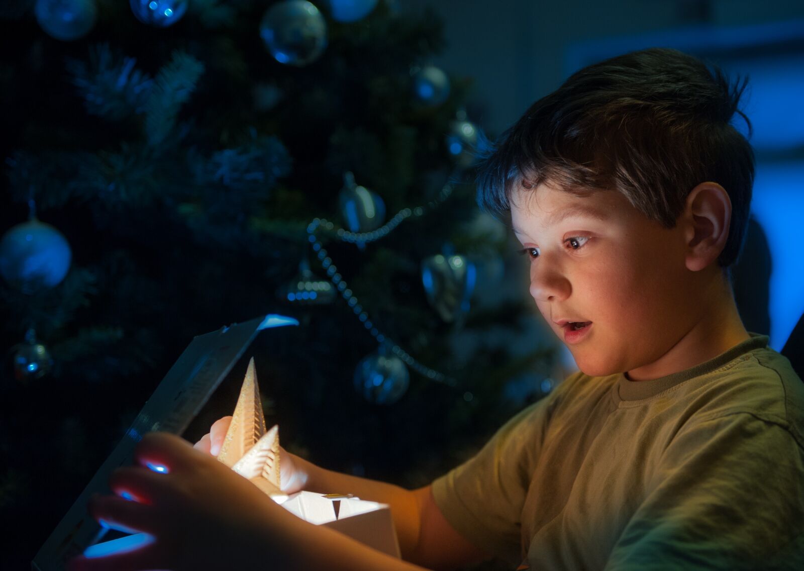 Nikon D700 sample photo. Christmas, gift, christmas tree photography