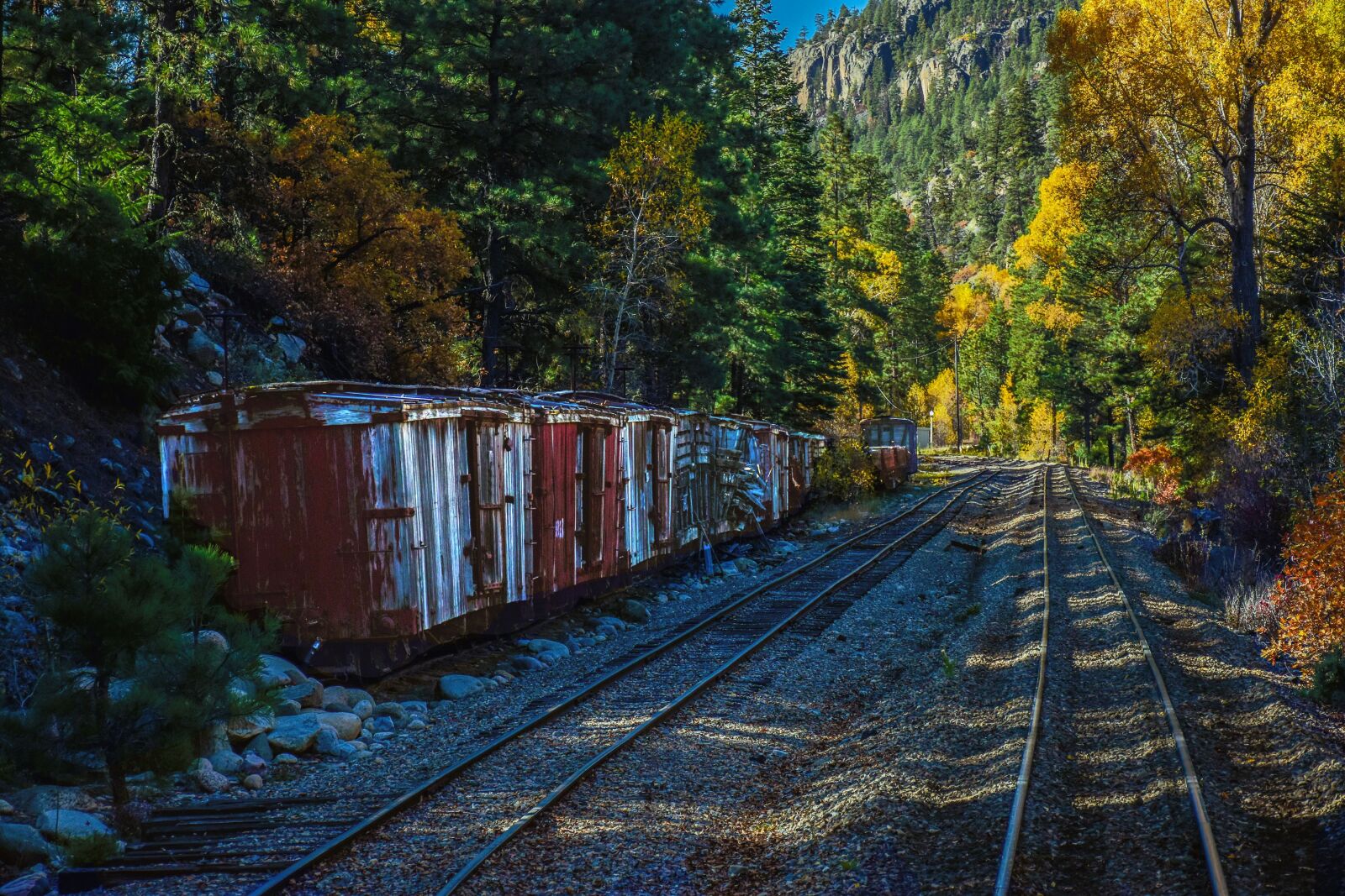 Nikon D5500 sample photo. Train, railroad, narrow guage photography