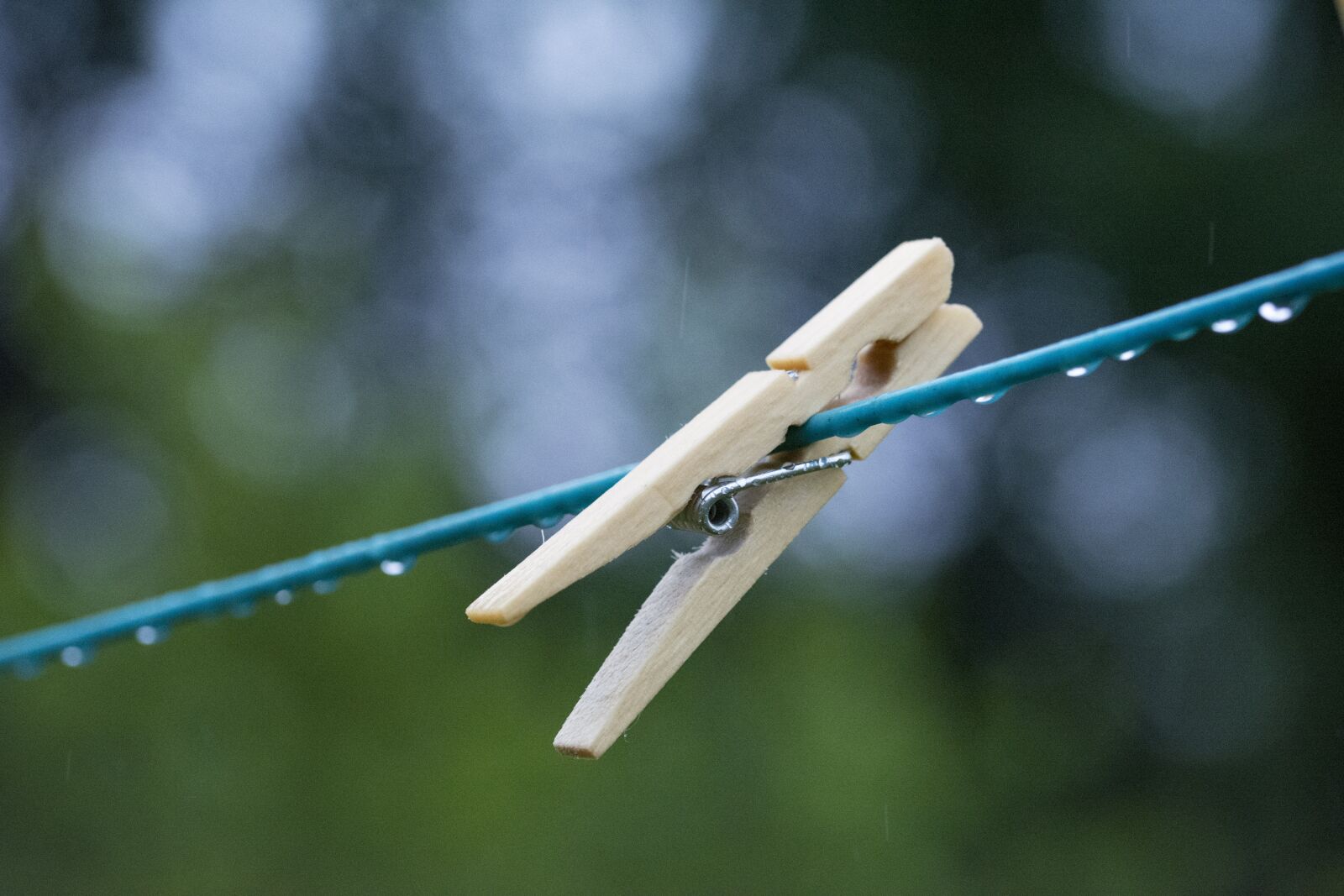Nikon D5200 sample photo. Holland, clothesline, was dry photography