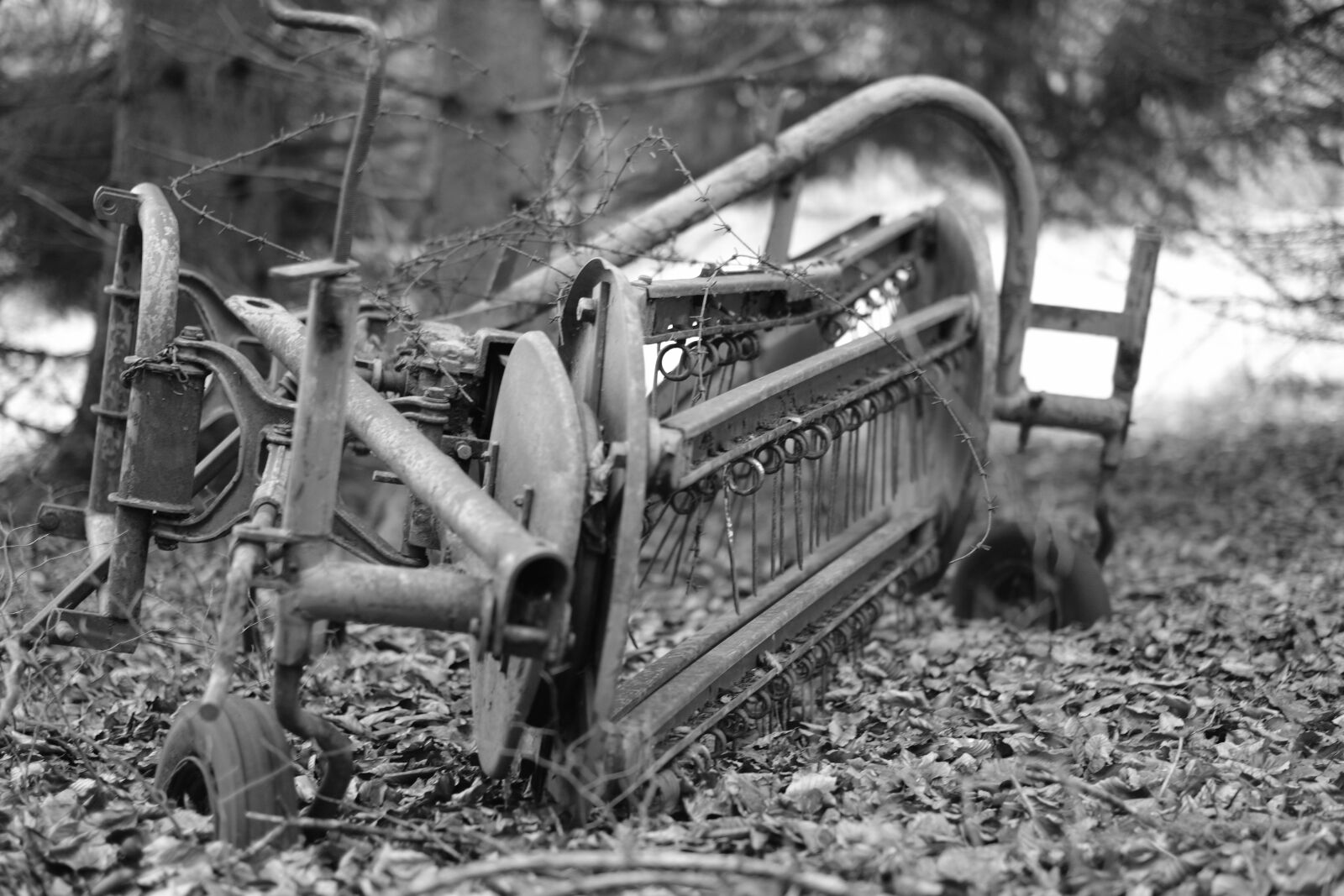 Fujifilm X-T2 + Fujifilm XF 56mm F1.2 R sample photo. Abandoned, scrap, forest photography
