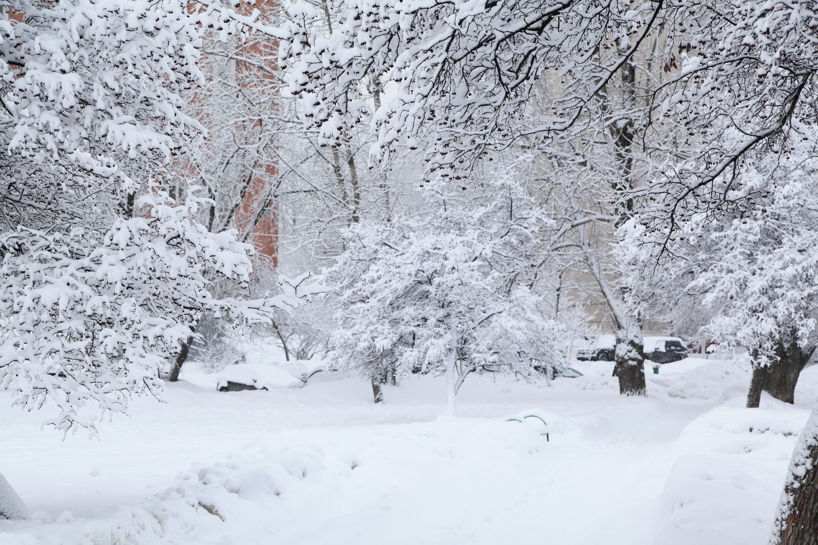 Canon EOS 5D Mark II sample photo. Russian winter, white snow photography