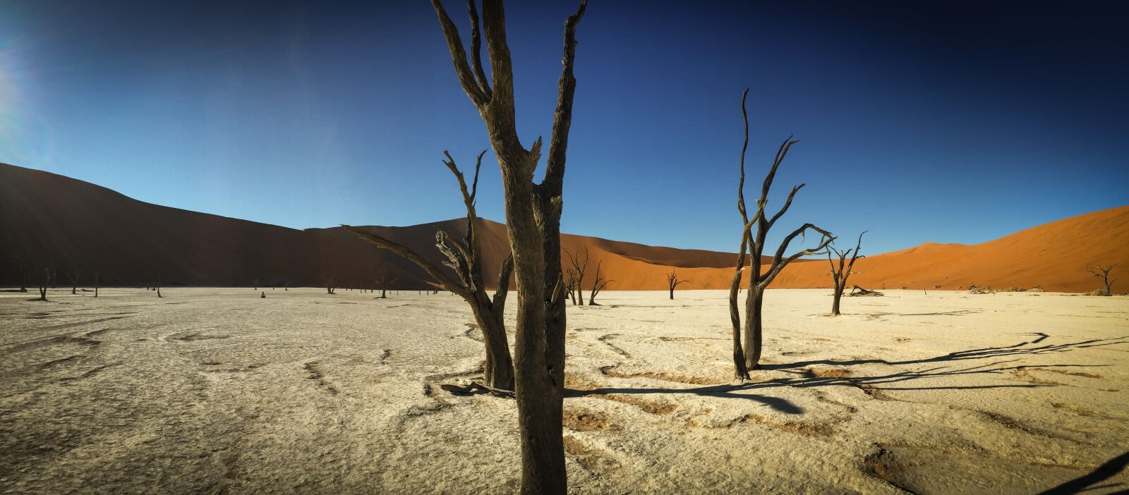 Apple iPhone 6 sample photo. Namibia, wildlife, africa photography