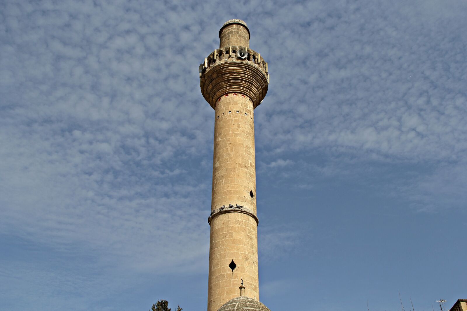 Canon EOS 60D sample photo. Cami, worship, islam photography