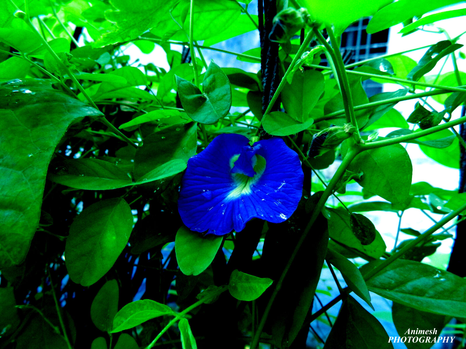 Nikon Coolpix L120 sample photo