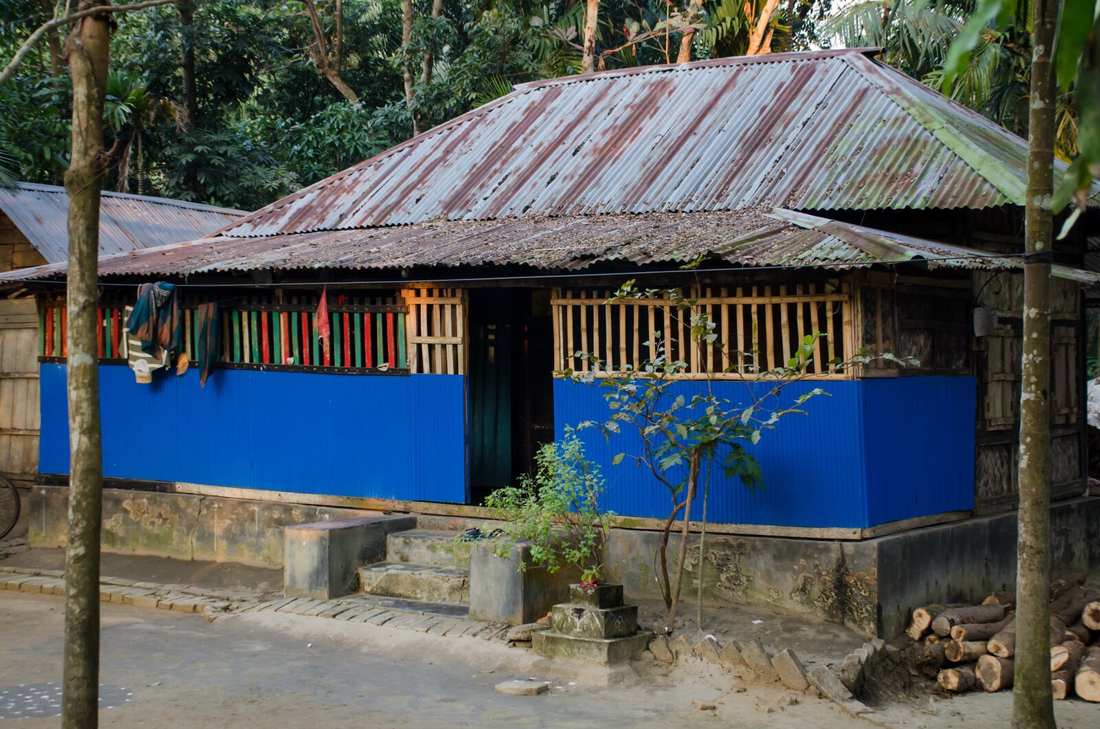Nikon D7000 sample photo. Blue, house, trees photography