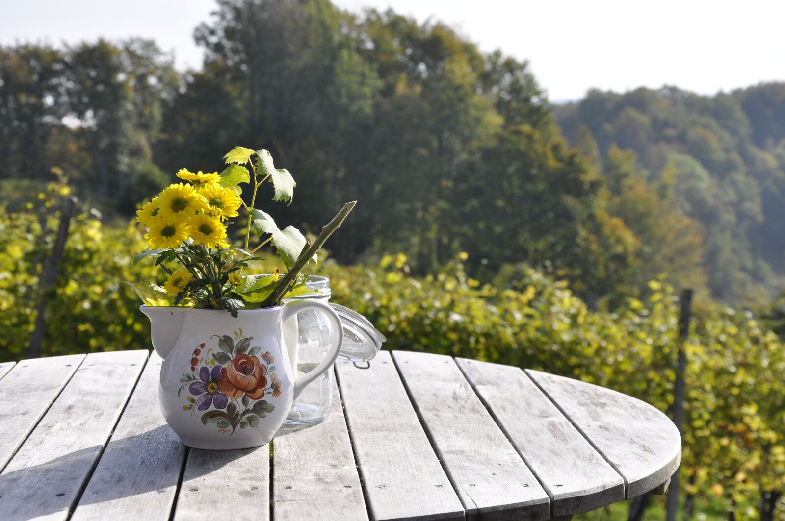 Nikon D90 sample photo. Flower, table, decoration photography