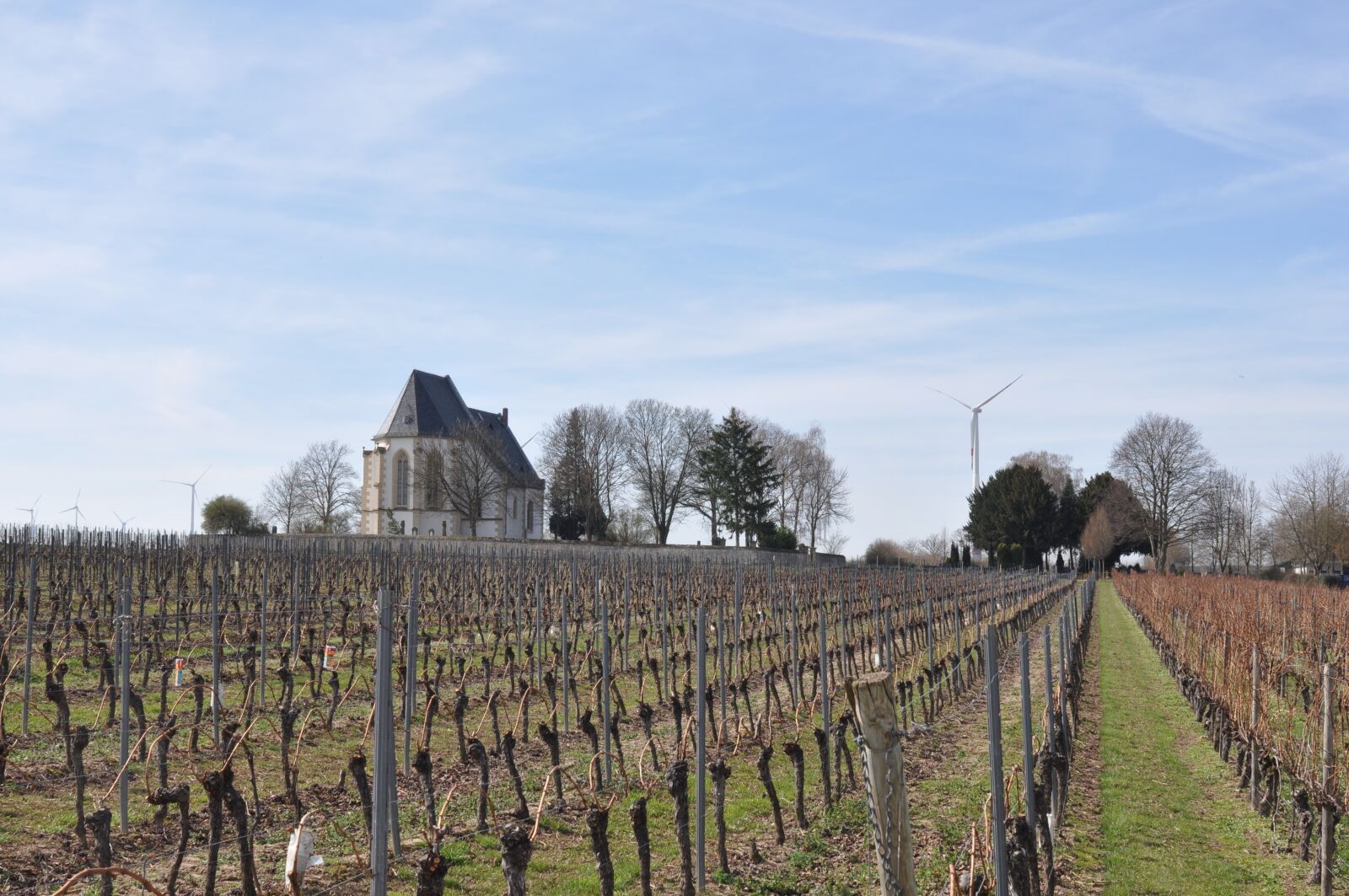 Nikon D90 sample photo. Landscape, vineyards, church photography