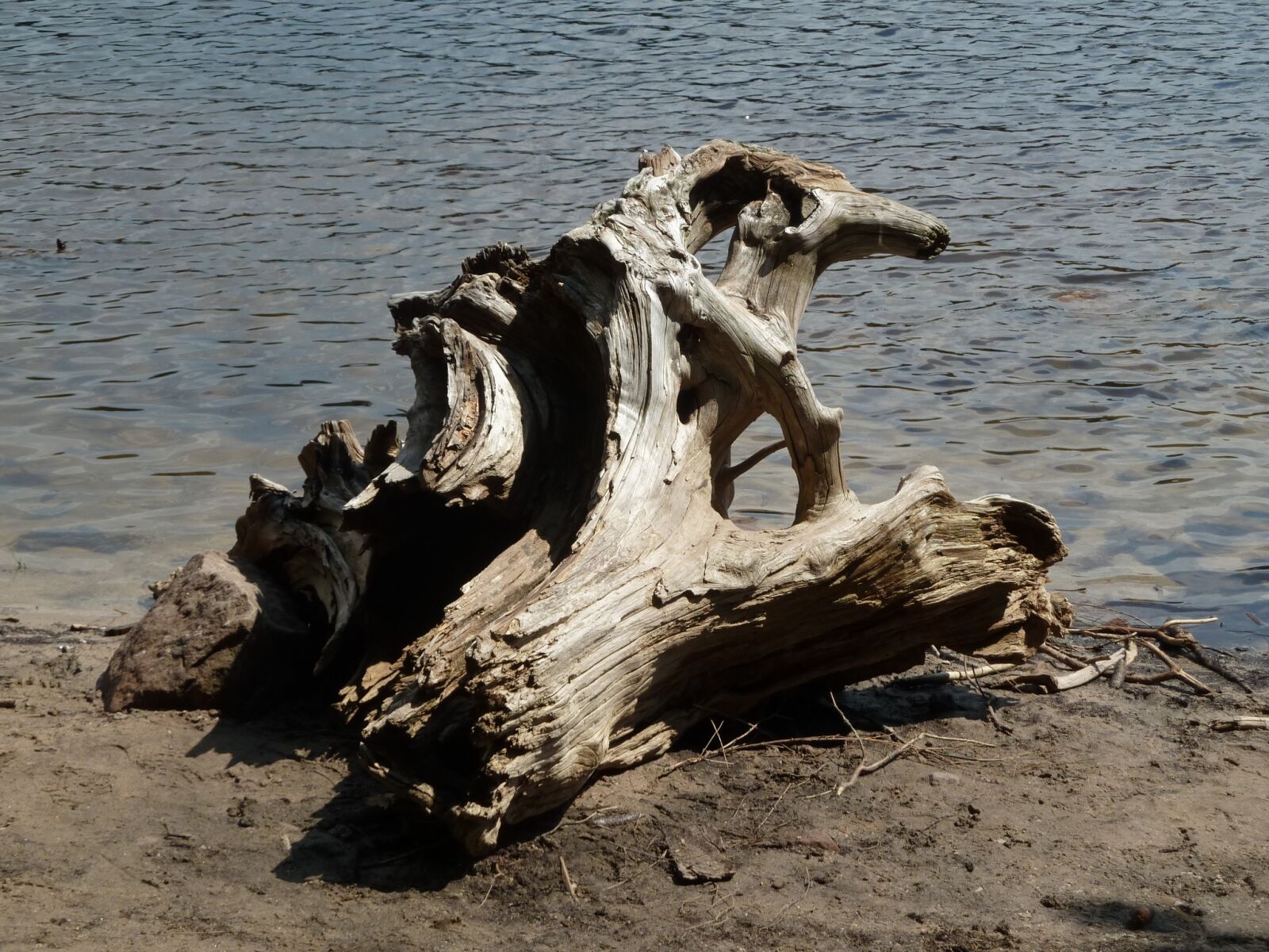 Panasonic Lumix DMC-ZS5 (Lumix DMC-TZ8) sample photo. Stump, wood, water photography
