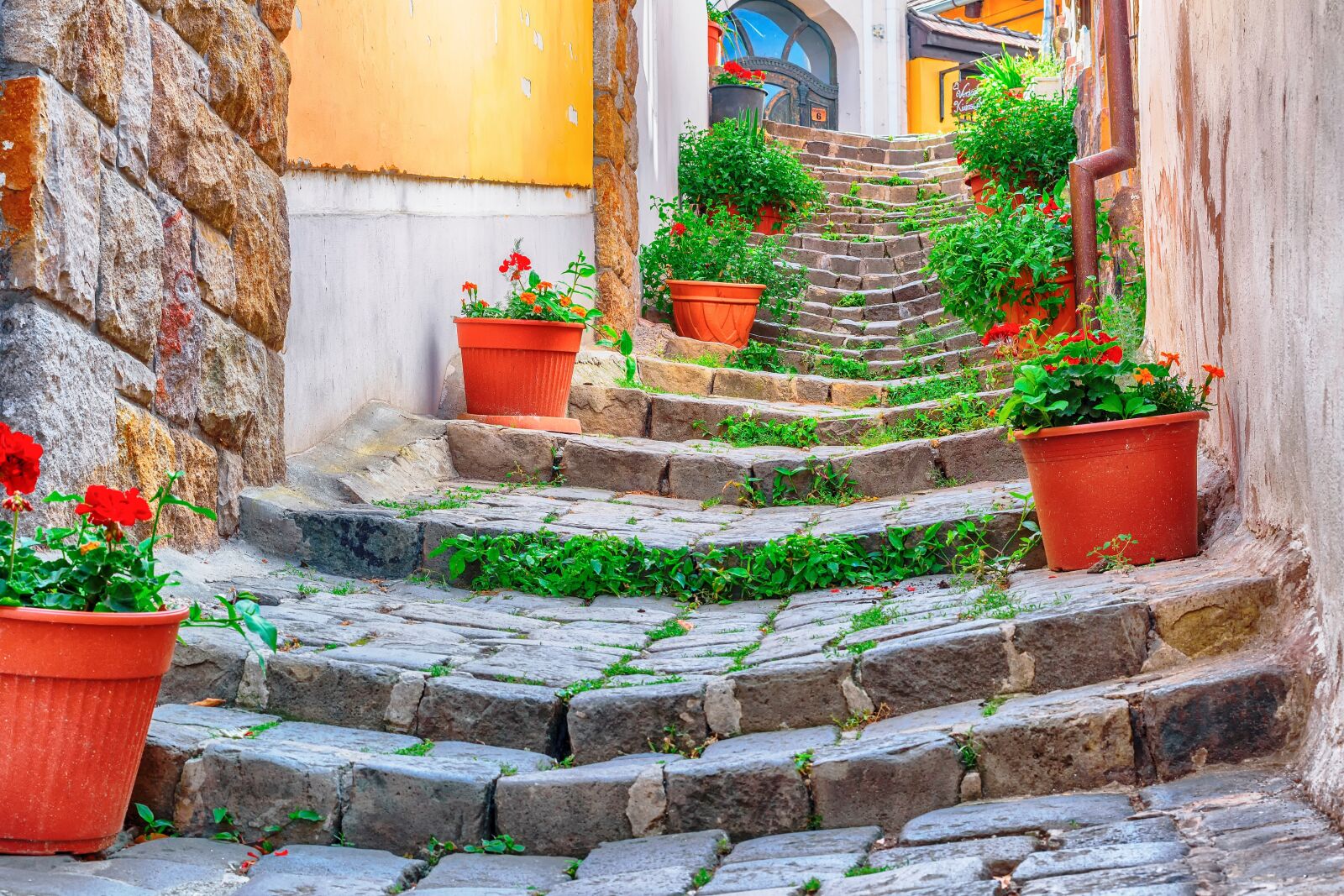 Nikon D5500 sample photo. Stair, szentendre, street photography