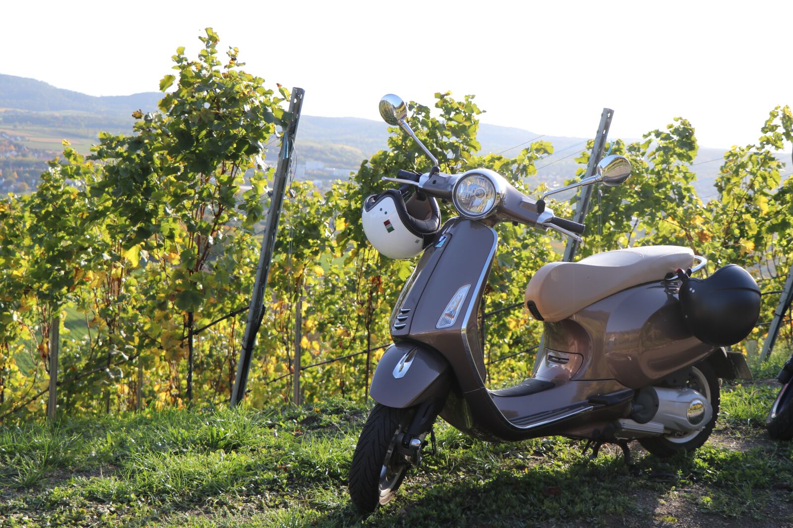 Canon EF-S 18-135mm F3.5-5.6 IS USM sample photo. Autumn, vineyards, vespa photography