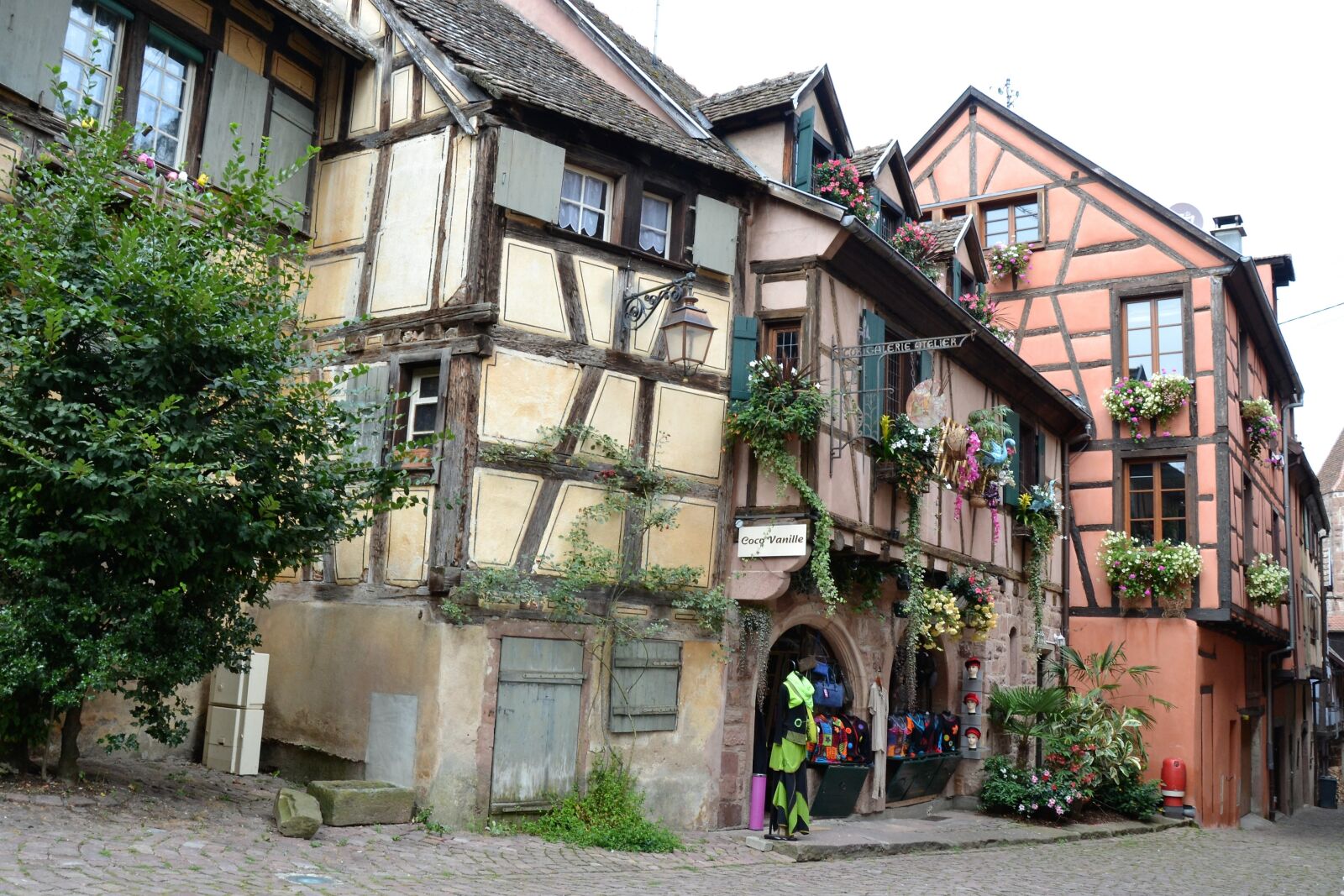 Nikon D3100 sample photo. Timber-framed, house, colmar photography