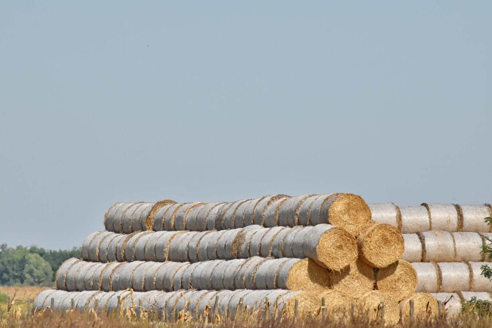 Nikon D5500 sample photo. Farmland, hay field, haystack photography