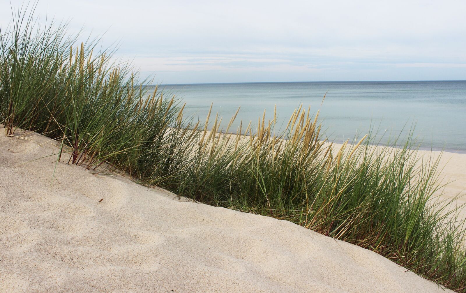 Canon EOS 600D (Rebel EOS T3i / EOS Kiss X5) sample photo. Sea, the baltic sea photography