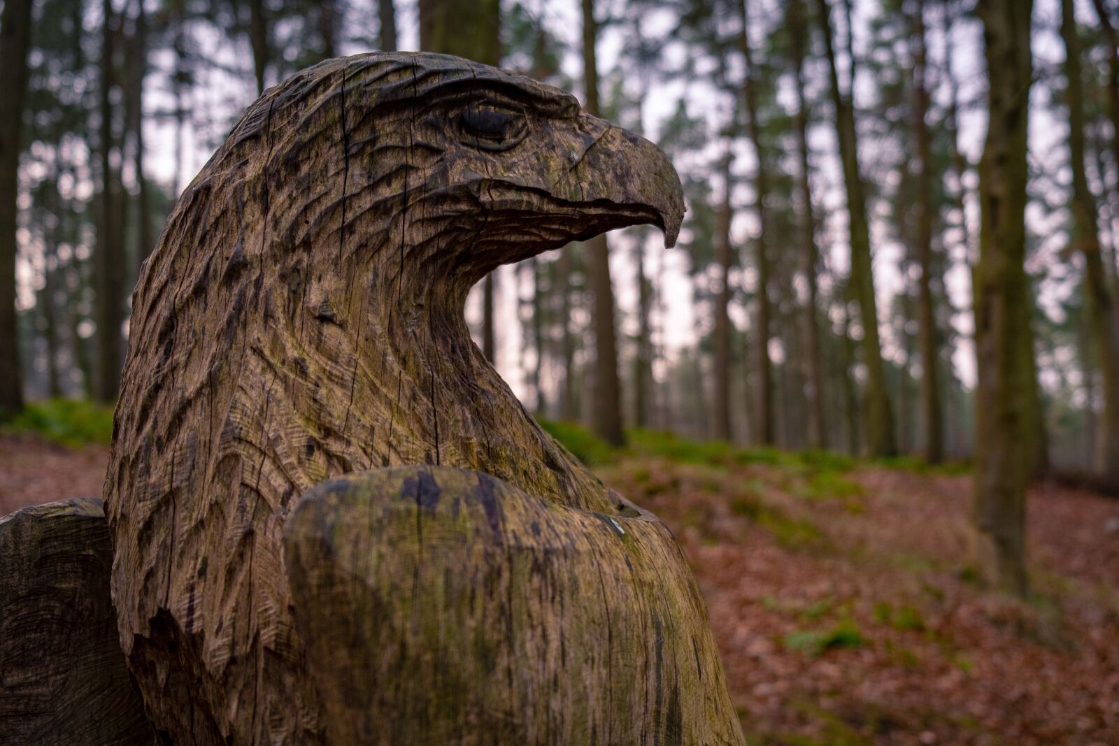 Fujifilm X-T3 sample photo. Eagle, sculpture, scotland photography