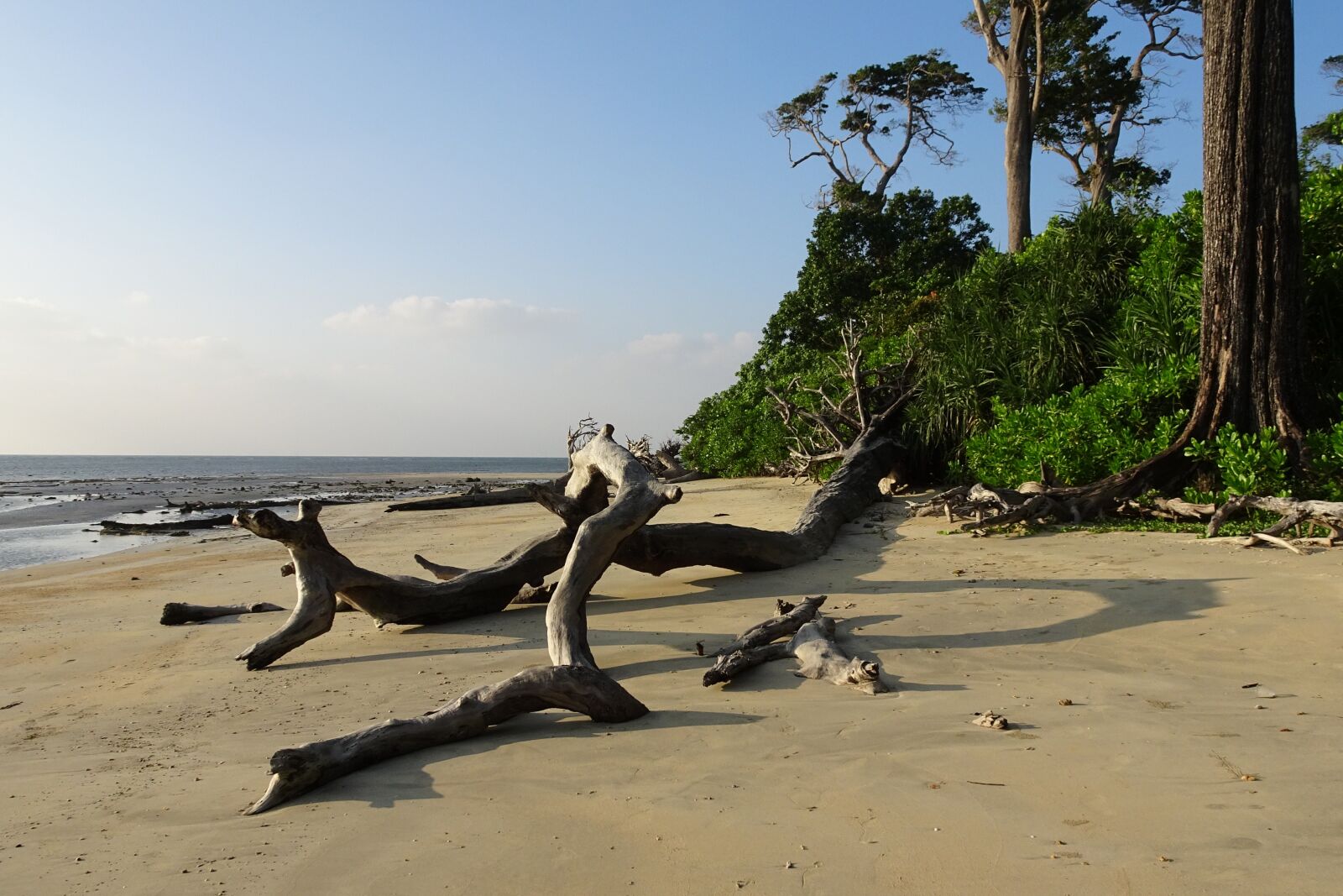Sony Cyber-shot DSC-HX90V sample photo. Beach, sea, wandoor photography