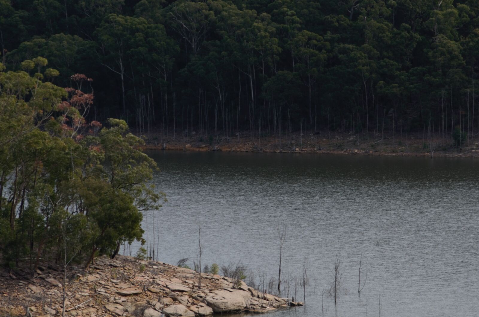 Nikon D7000 sample photo. Lake, tree, water photography