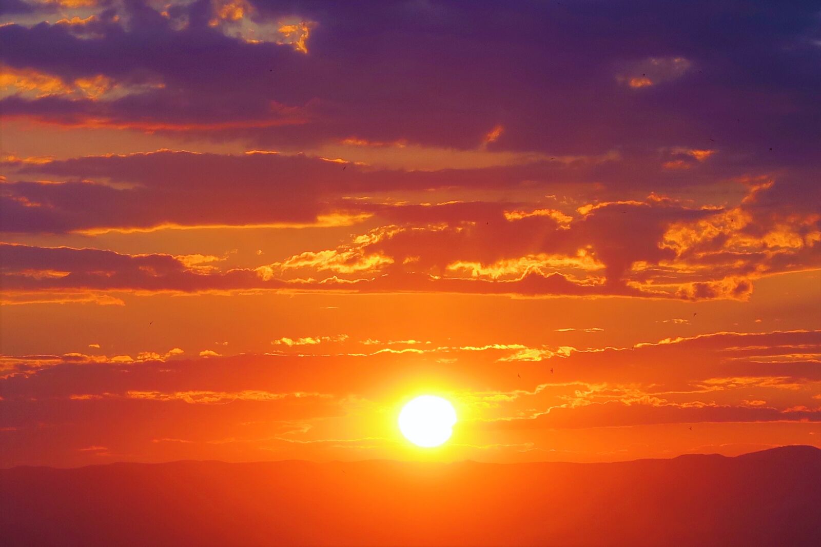 Canon PowerShot G7 X sample photo. Sunset, nature, in the photography