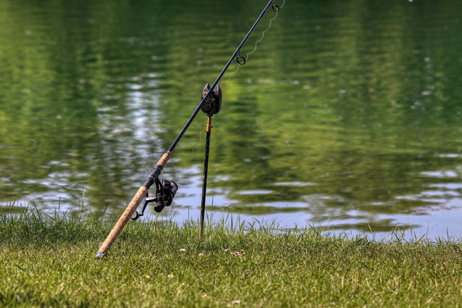 Canon EOS 80D sample photo. Fish, fishing rod, fishing photography