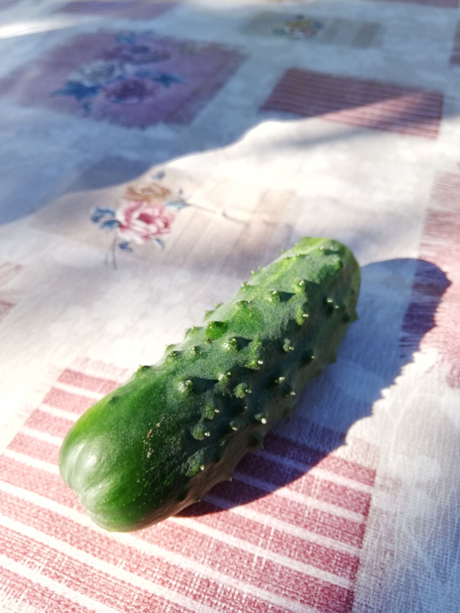 HUAWEI ANE-LX1 sample photo. Cucumber, table, tablecloth photography