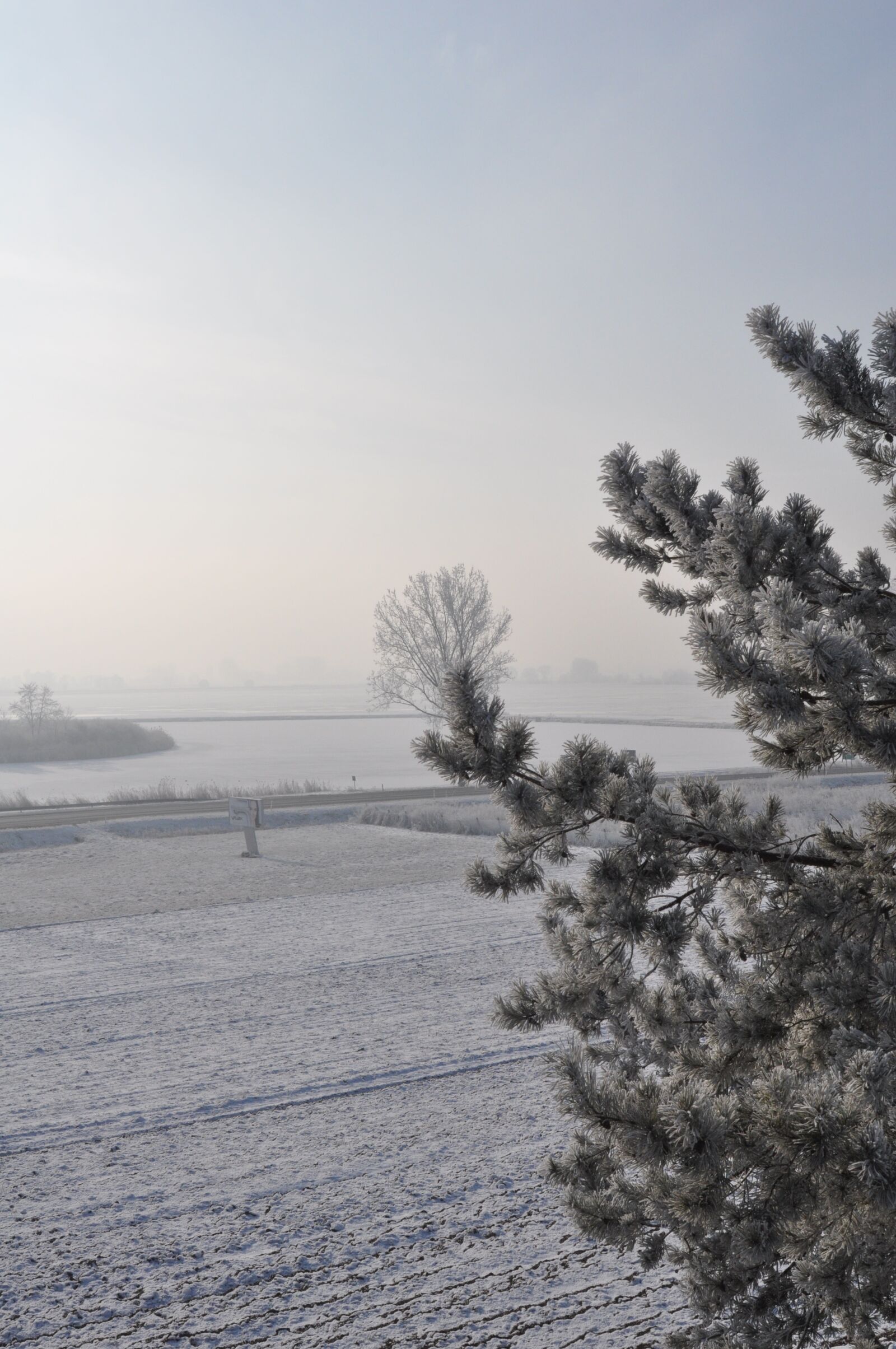 Nikon D90 sample photo. Winter, tree, snow photography